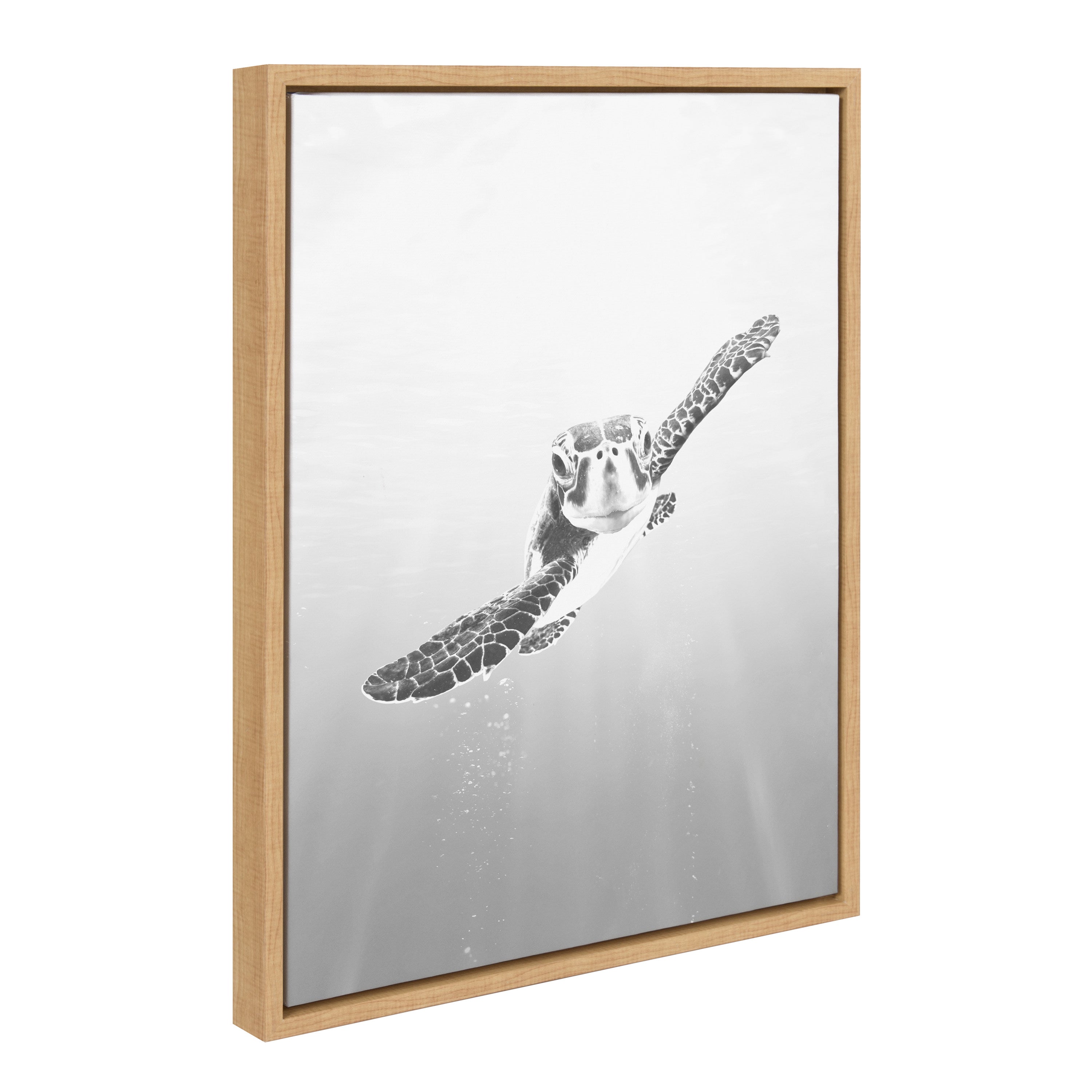 Sylvie Sea Turtle Framed Canvas by Simon Te of Tai Prints by kateandlaurel - product image 2 for Resin Society