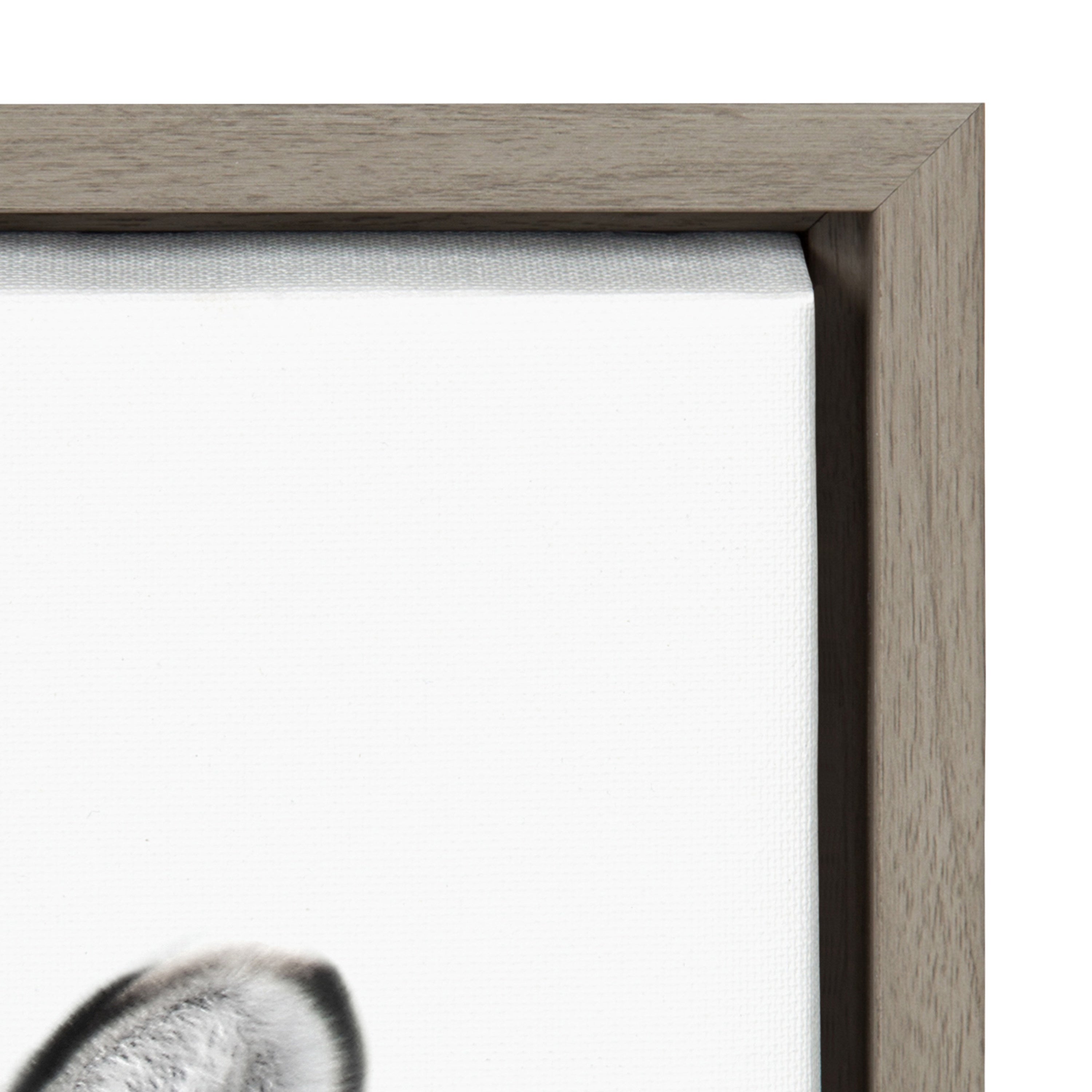 Sylvie Bubble Gum Zebra Framed Canvas by Amy Peterson Art Studio by kateandlaurel - product image 12 for Resin Society
