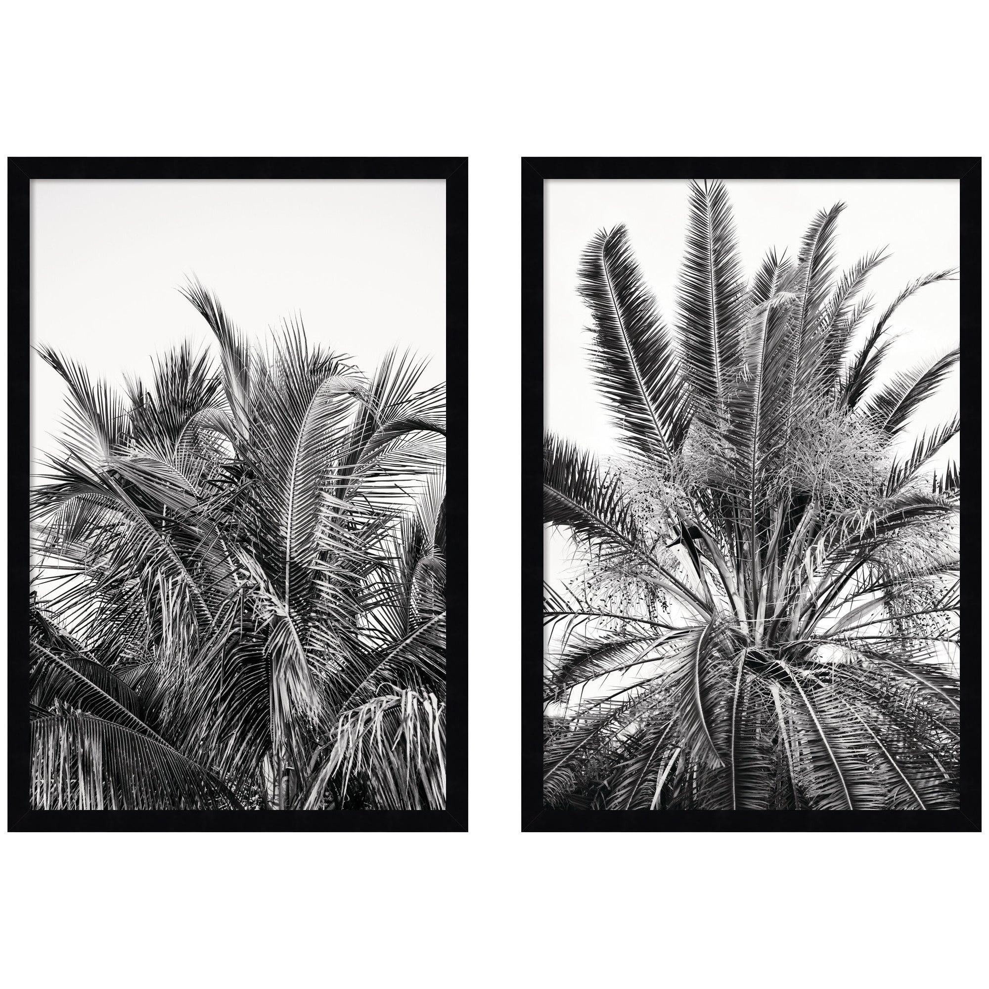 Palm No.
13 & 15 2 Piece Framed Wall Art Print Set by Alicia Bock