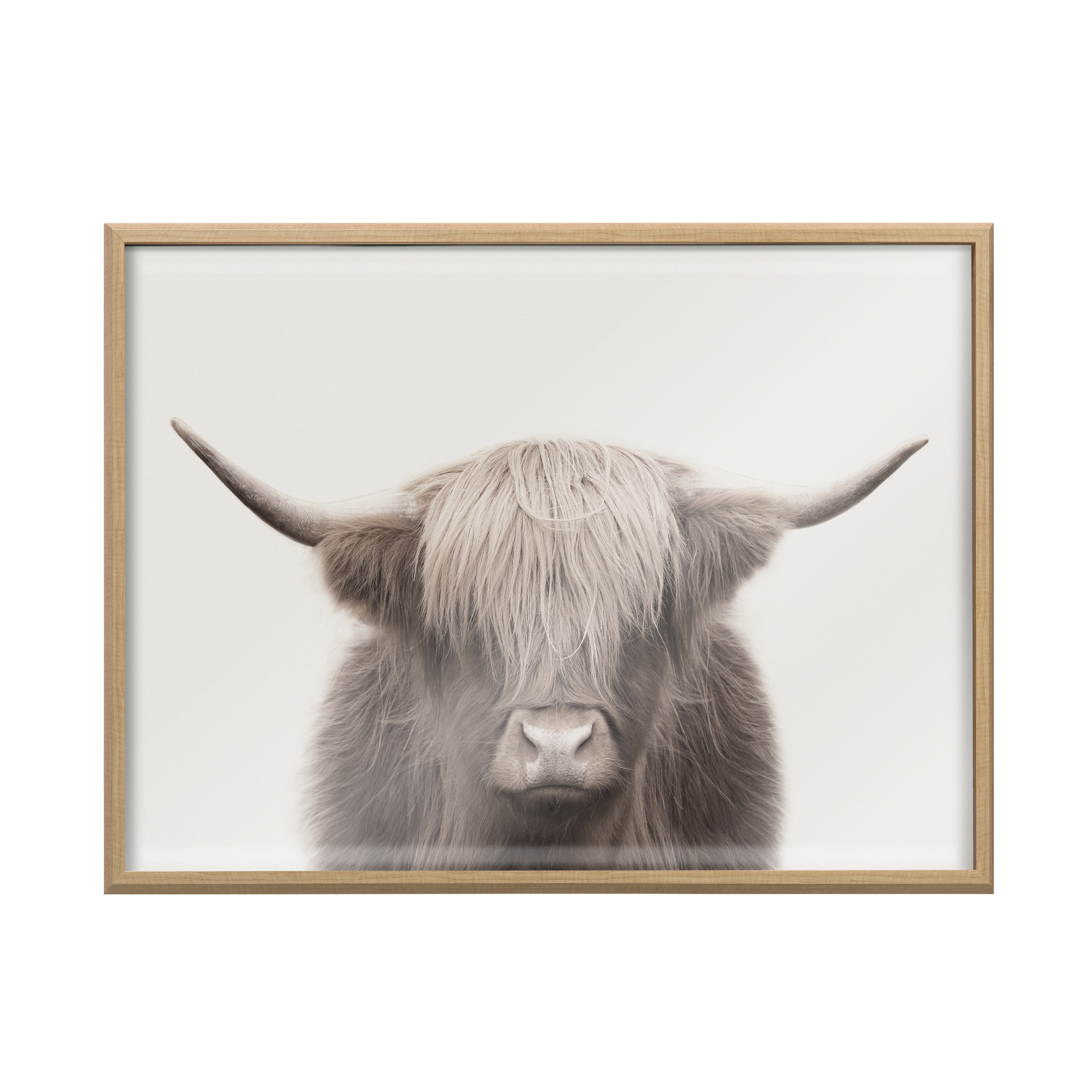 Blake Hey Dude Highland Cow Color Framed Printed Art - 24x32