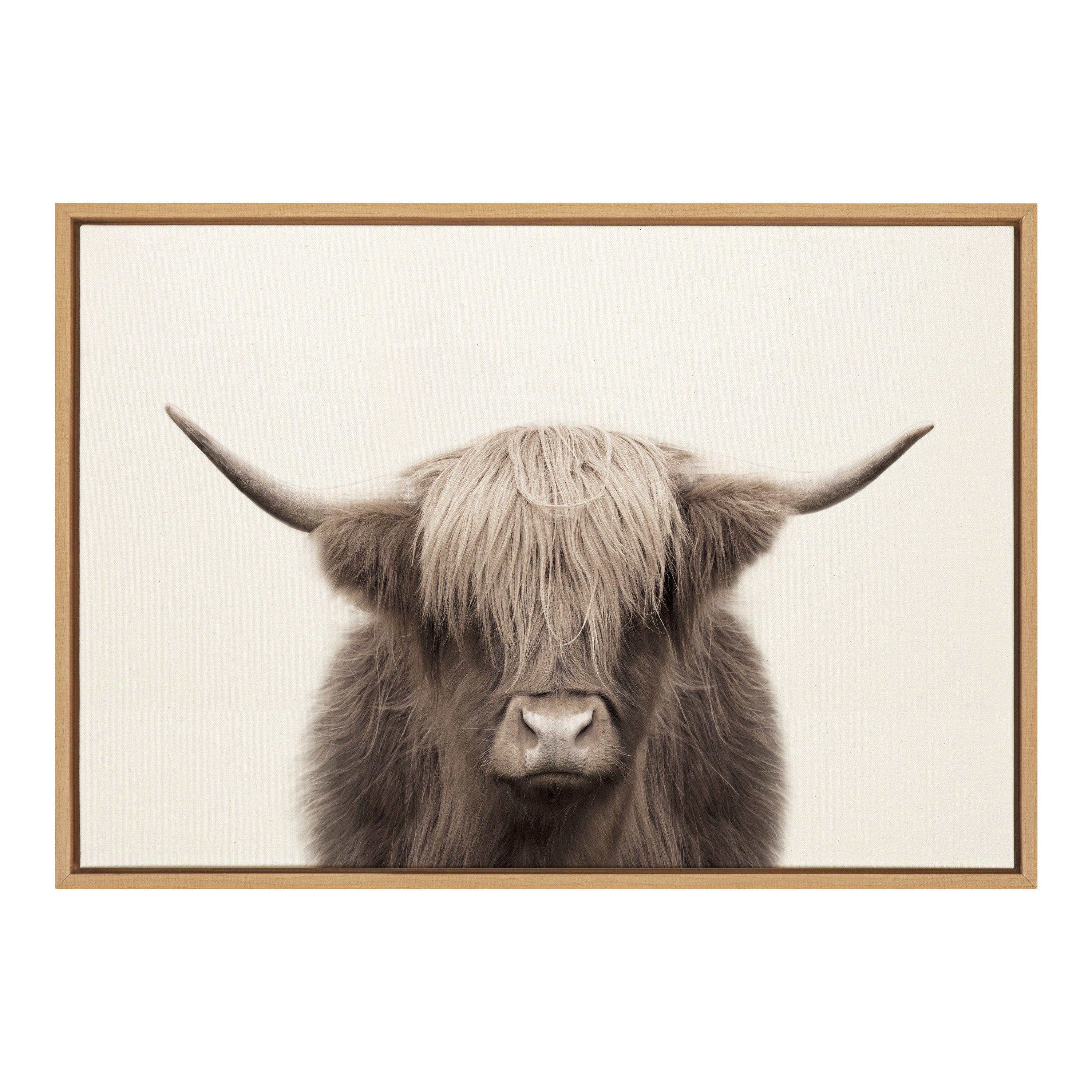 Sylvie Hey Dude Highland Cow Color Framed Canvas by The Creative Bunch