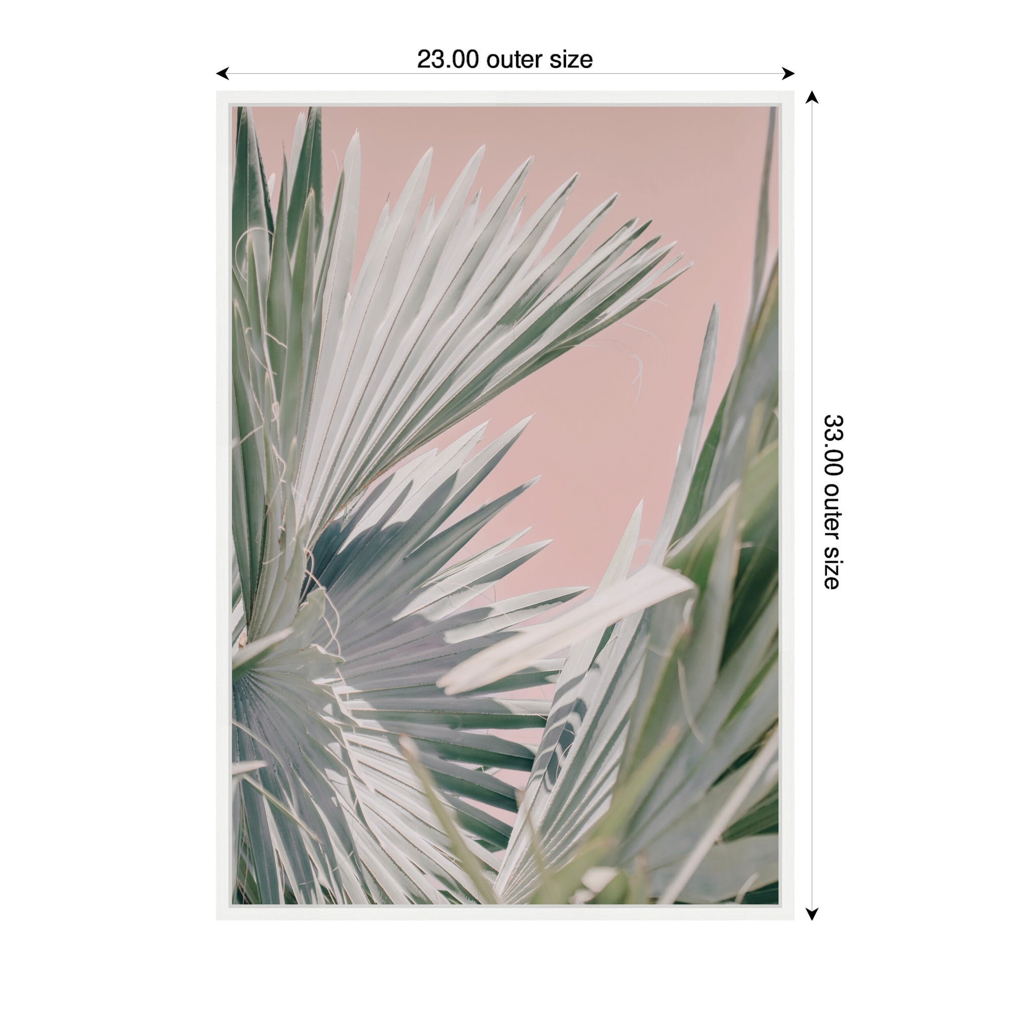 Sylvie Tropical Pink Bismarck Framed Canvas by Alicia Bock