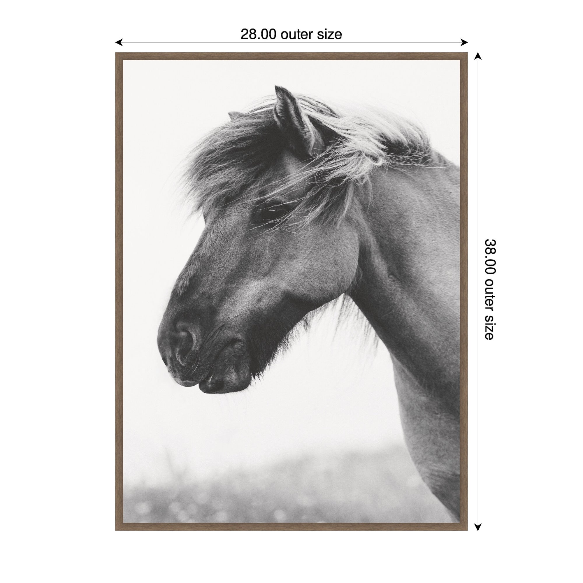 AA Indomitable by Alicia Abla Framed Canvas Wall Art Print