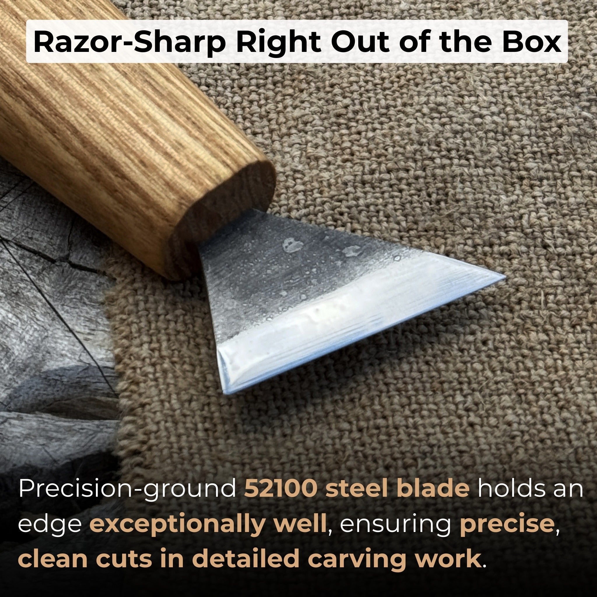 Bevel Edge Carving Knife with 3.5 cm blade and wooden handle by Sharky Forged Steel Tools