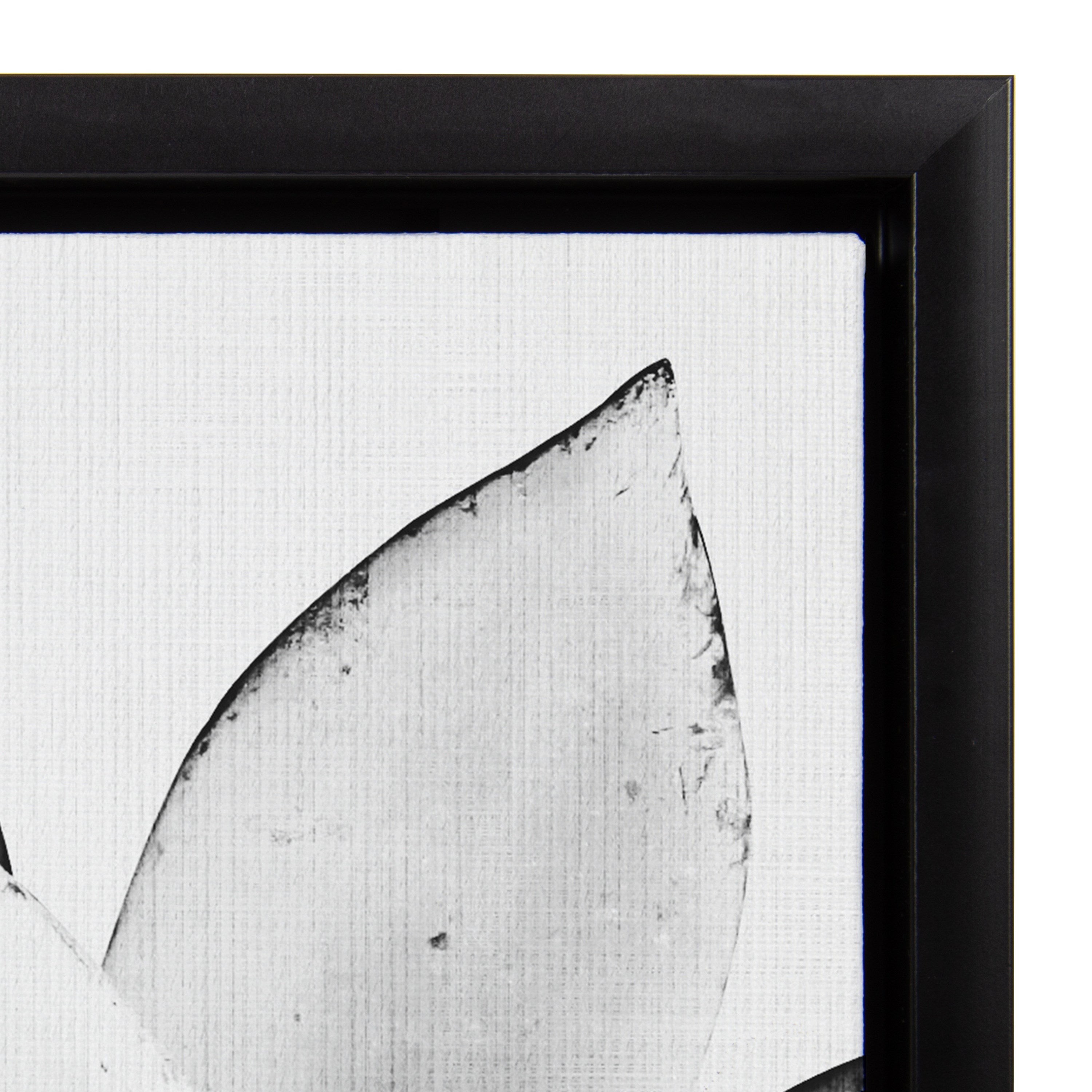 Sylvie Succulent Framed Canvas by Simon Te of Tai Prints