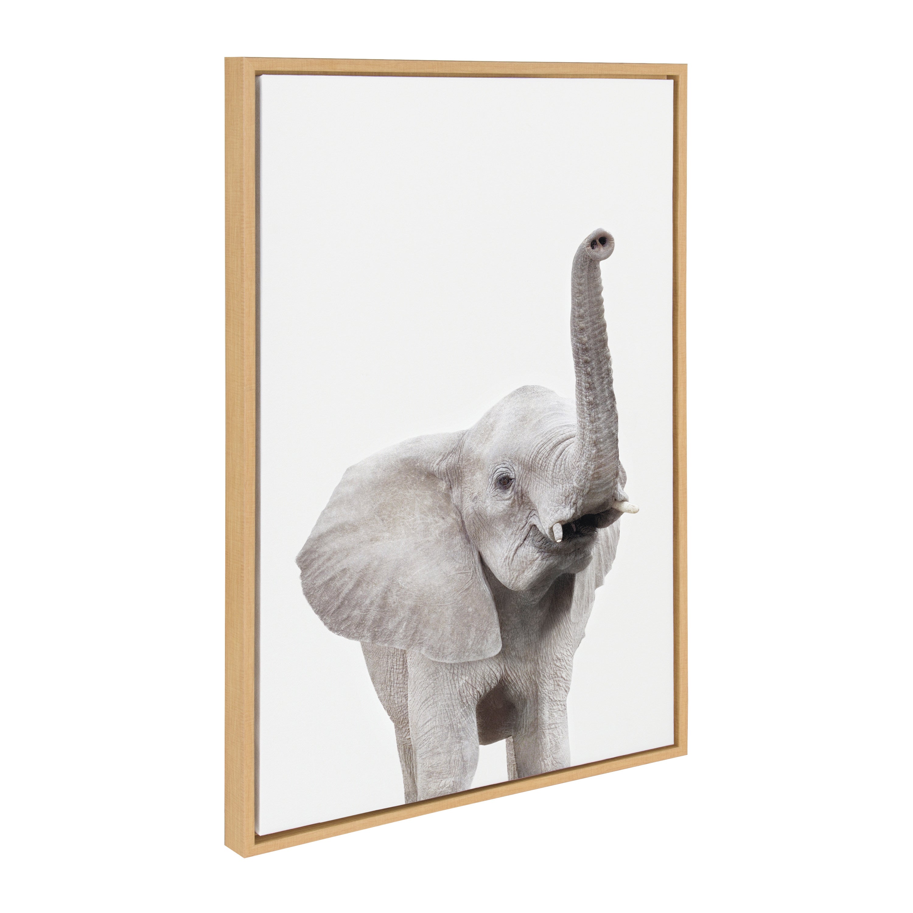 Sylvie Young Elephant Framed Canvas by Amy Peterson by kateandlaurel - product image 7 for Resin Society