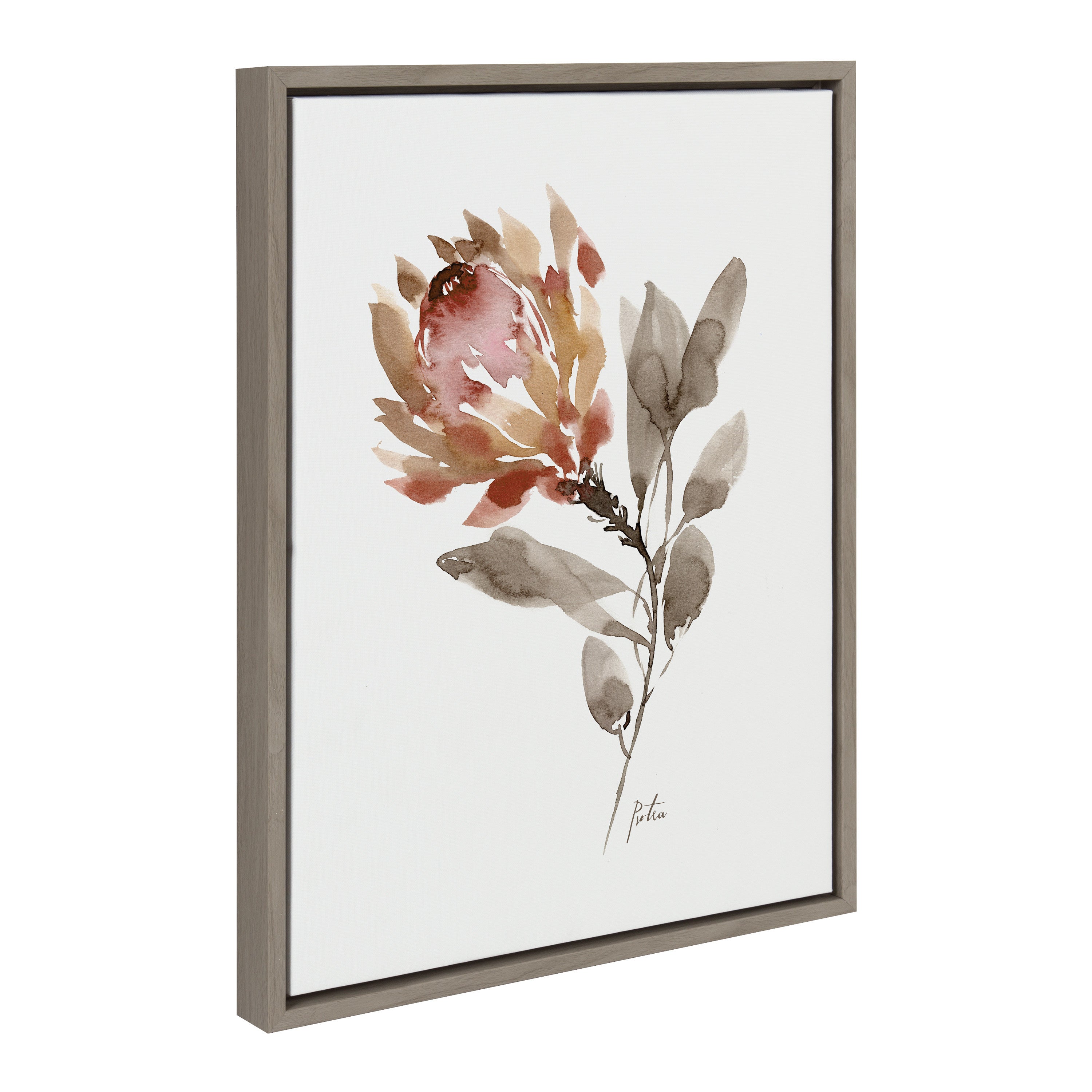 Sylvie Wild King Protea Framed Canvas by kateandlaurel - product image 12 for Resin Society
