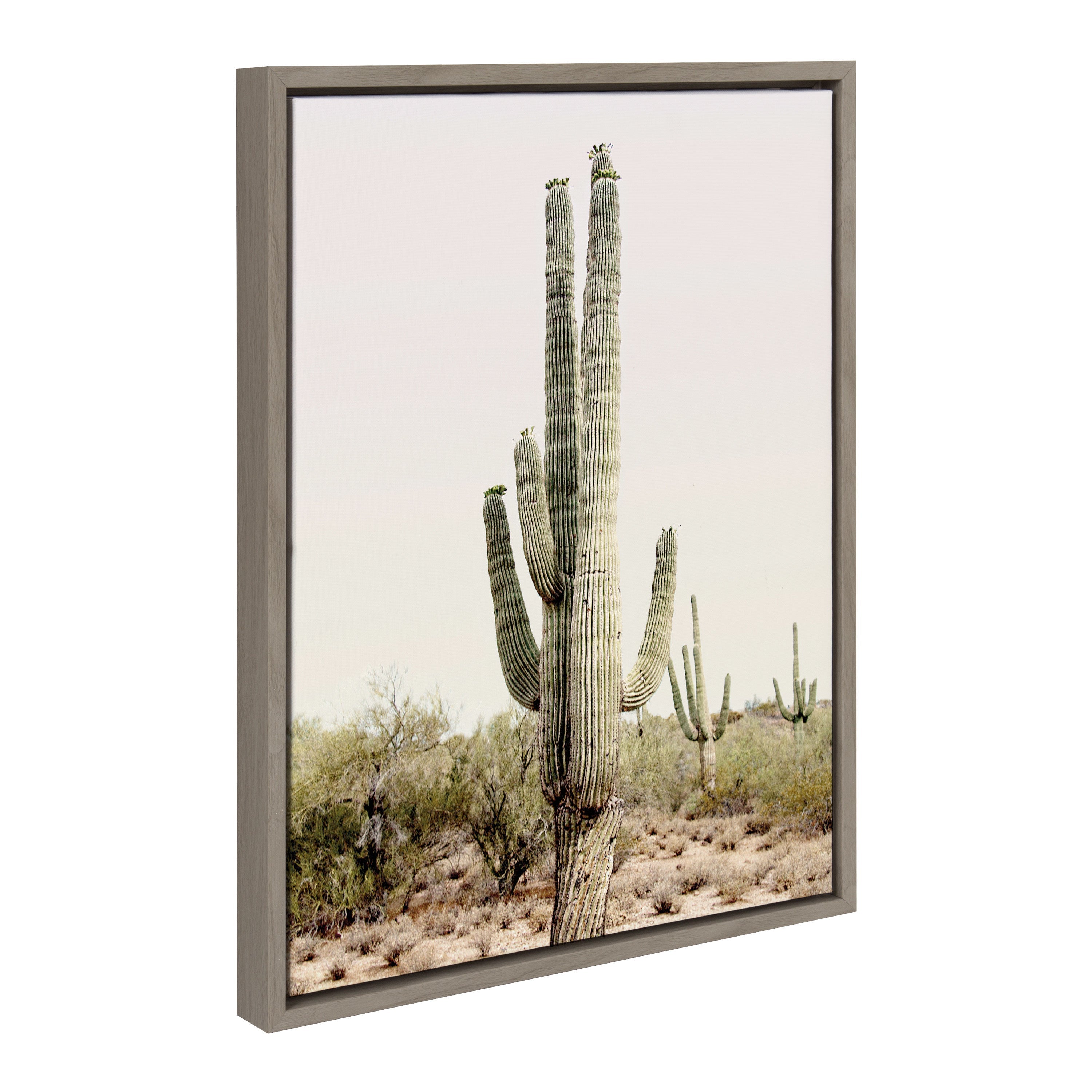 Sylvie Sunrise Cactus Framed Canvas by Amy Peterson Art Studio