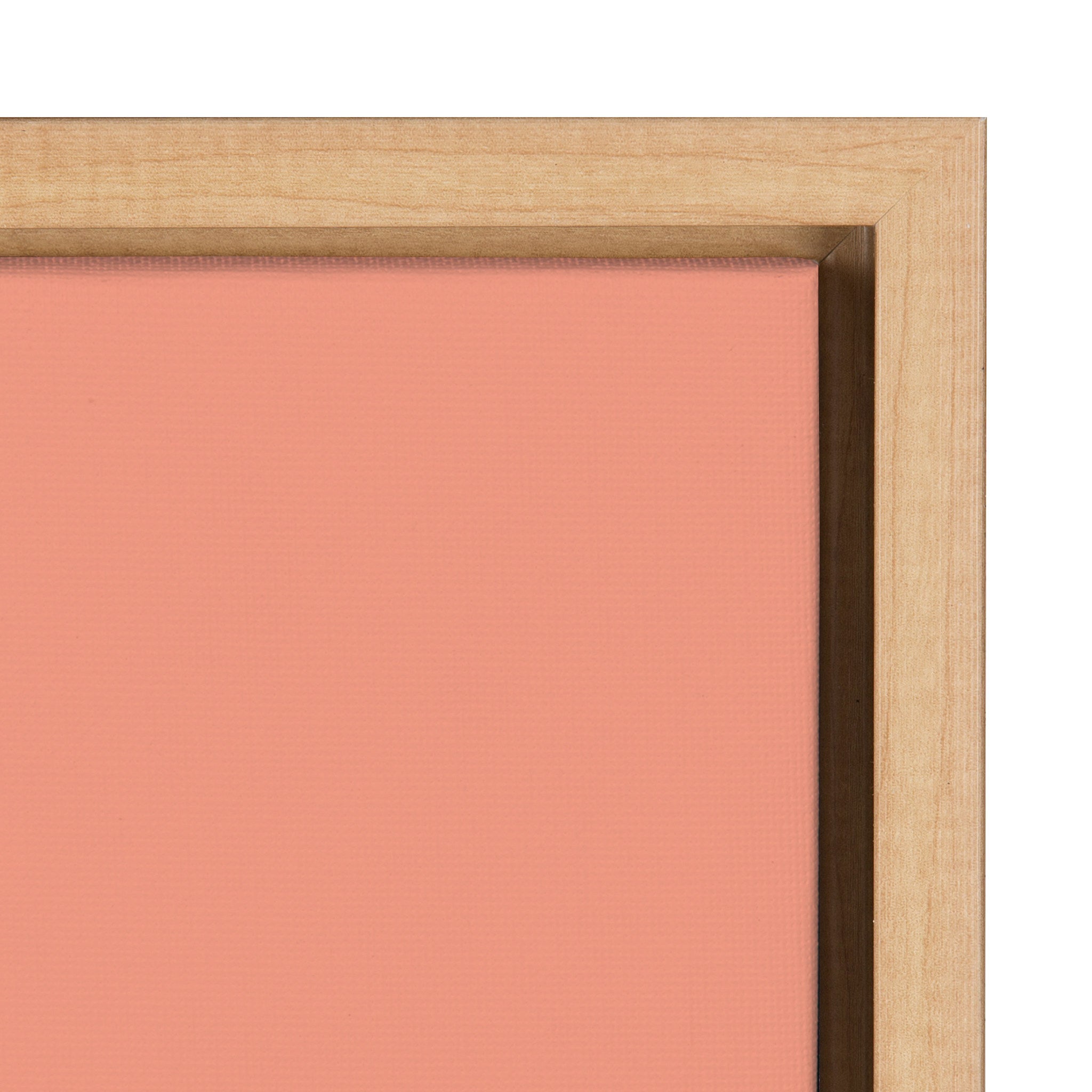 Sylvie Tulum Ruins Framed Canvas by kateandlaurel - product image 3 for Resin Society