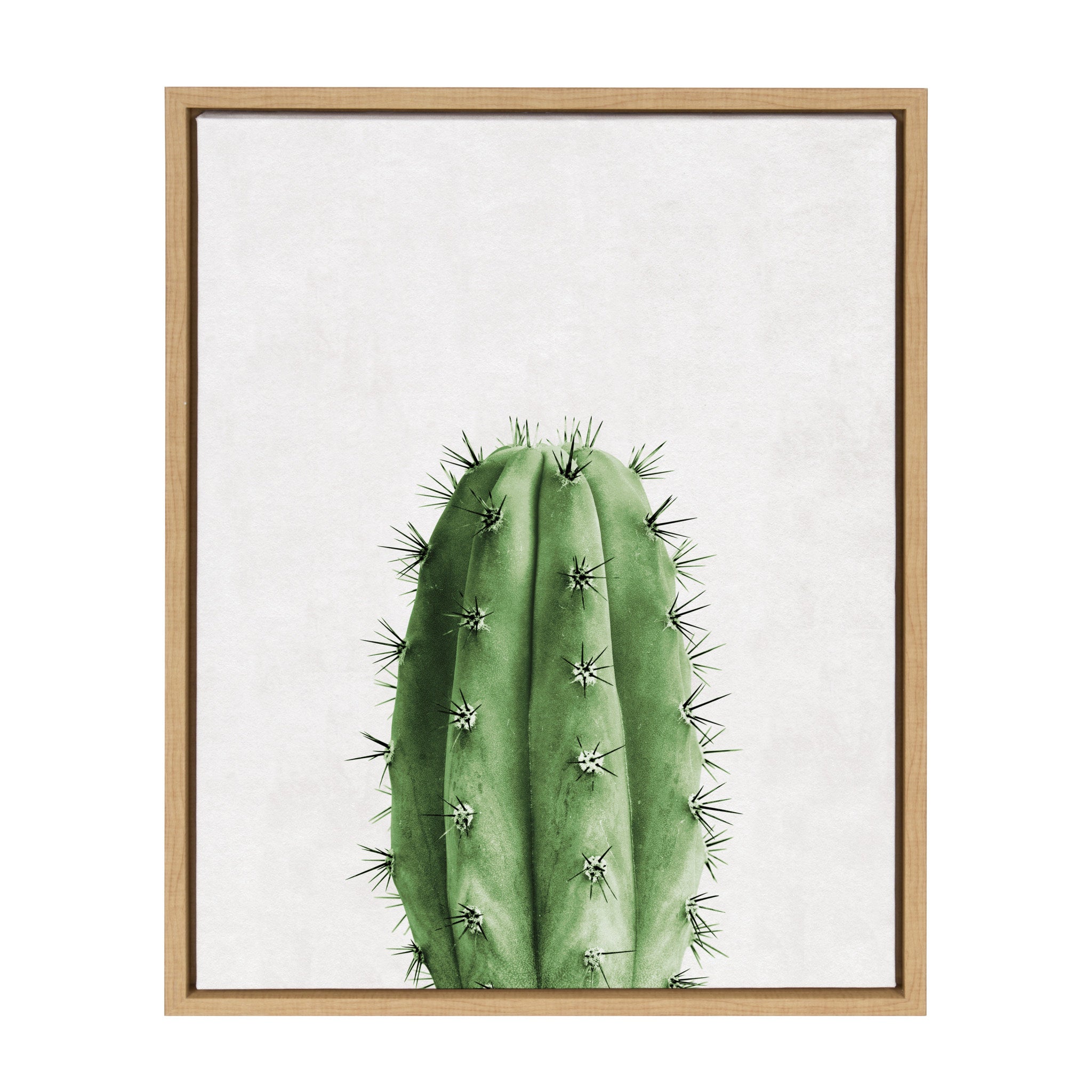 Sylvie Home Cactus Framed Canvas by Simon Te Tai by kateandlaurel - main product image for Resin Society