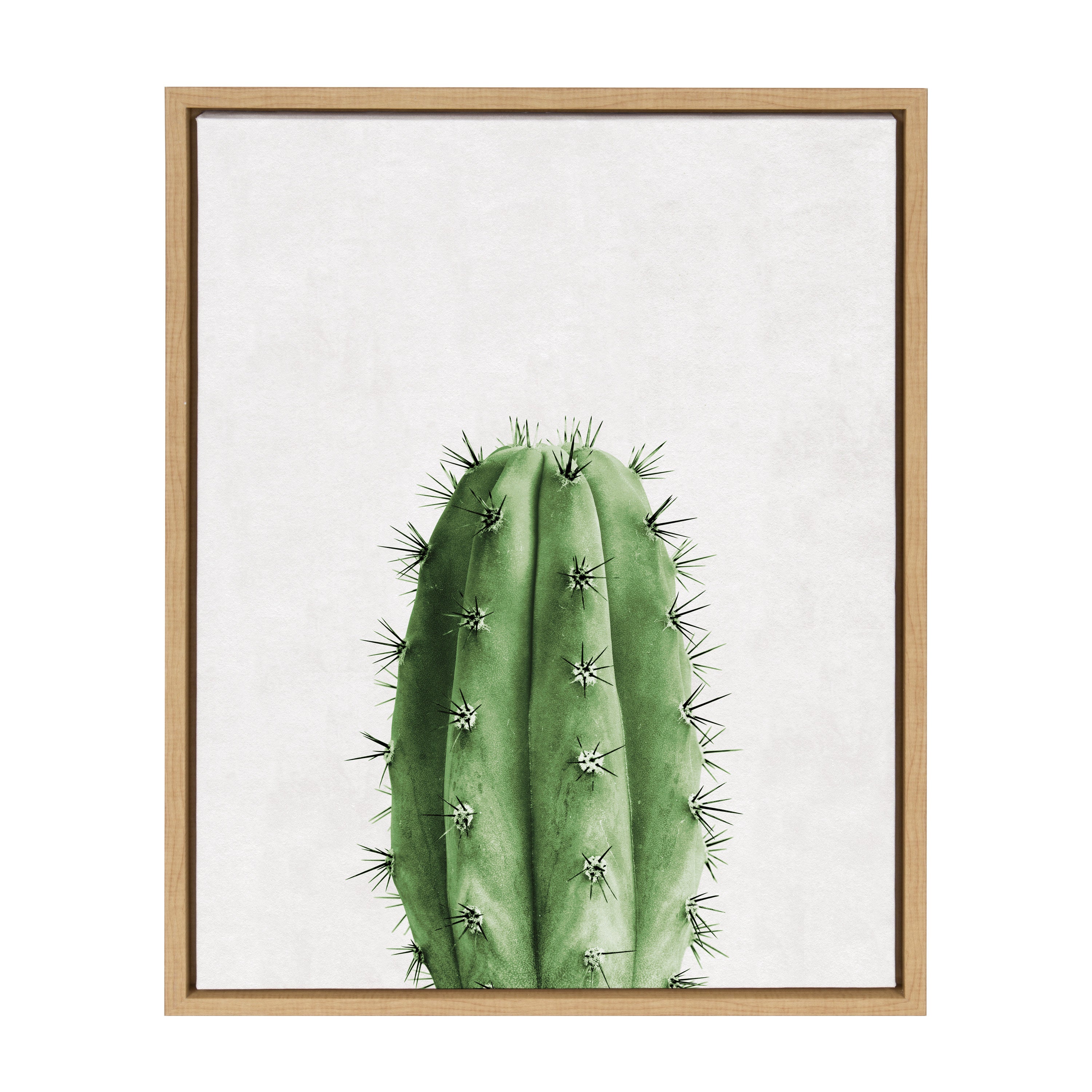 Sylvie Home Cactus Framed Canvas by Simon Te Tai by kateandlaurel - product image 7 for Resin Society
