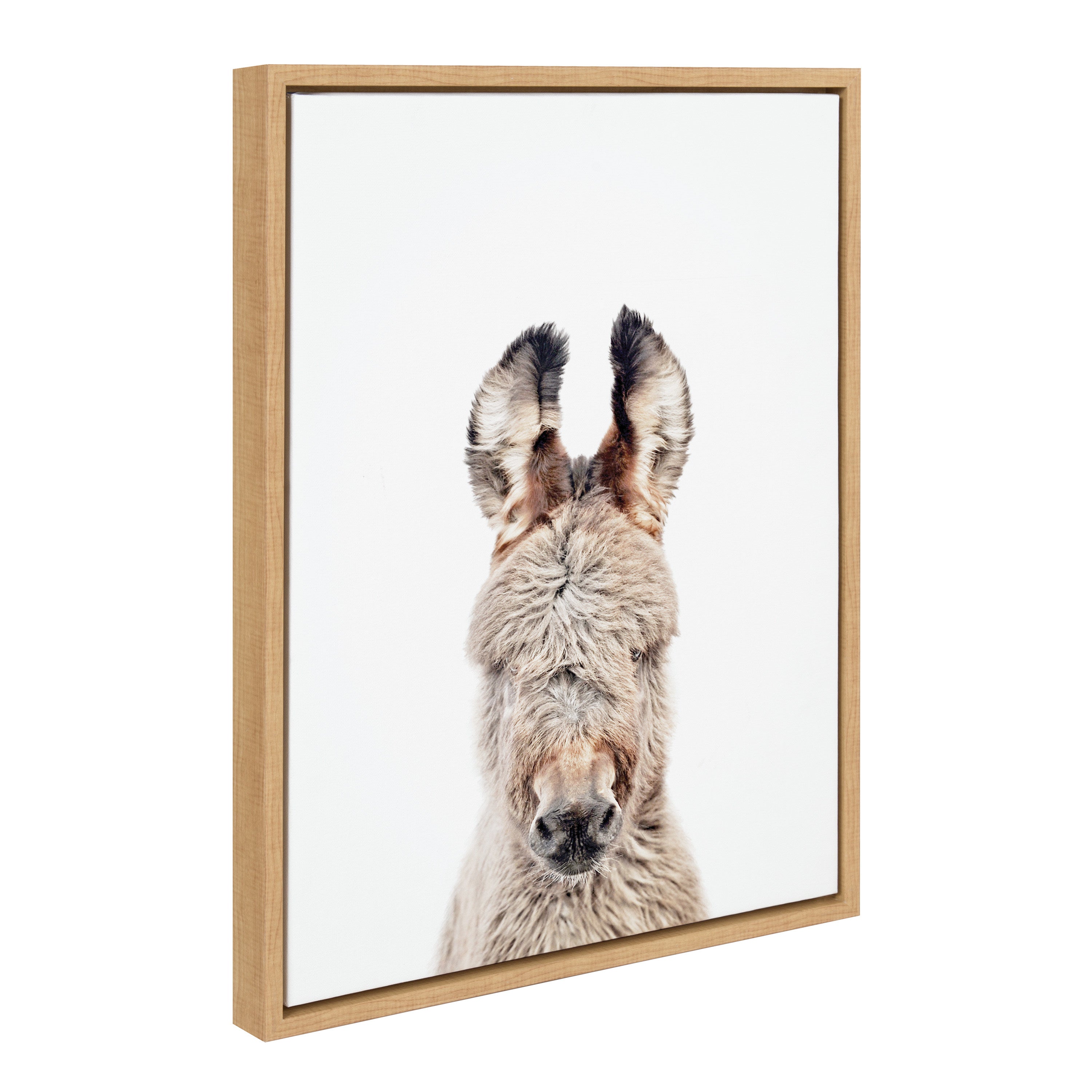 Sylvie Animal Studio Burro Portrait Framed Canvas by Amy Peterson Art Studio