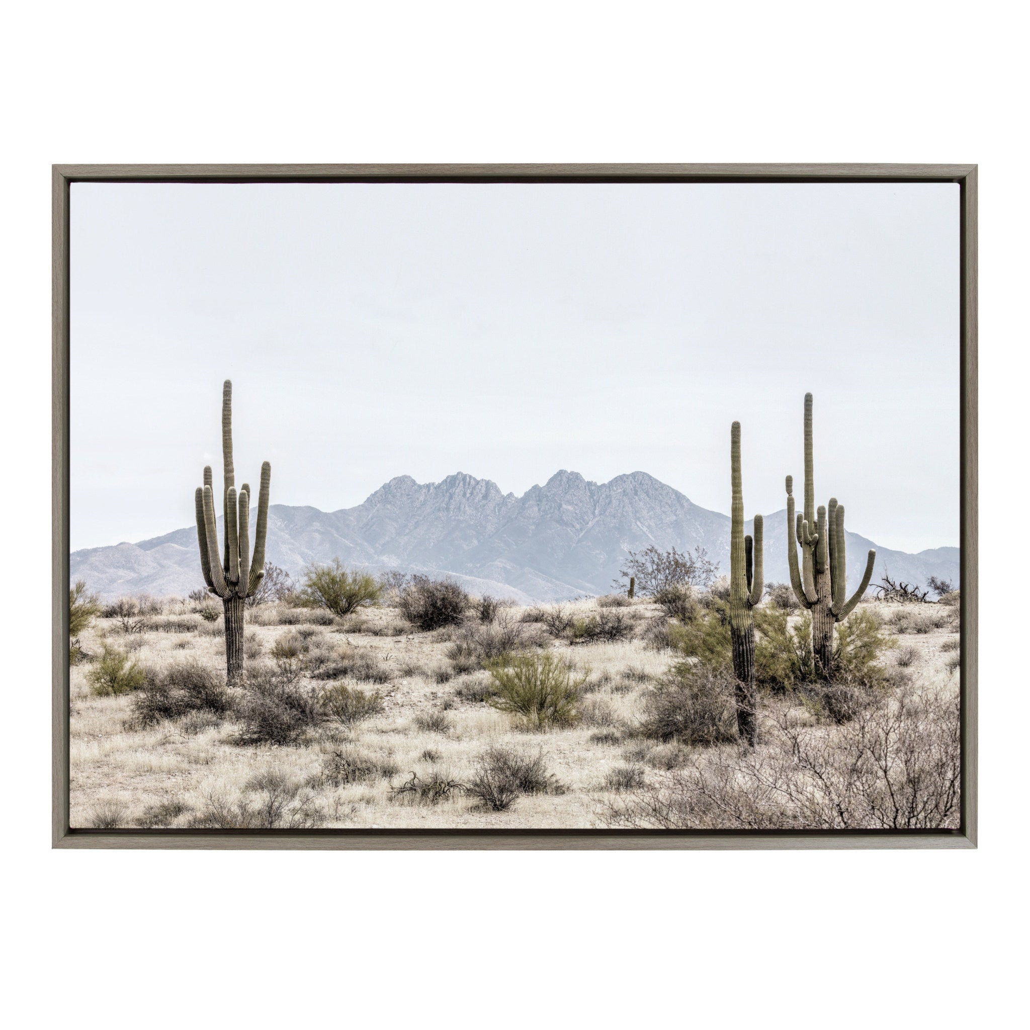 Sylvie Tall Saguaro Cacti Desert Mountain Framed Canvas by kateandlaurel - product image 3 for Resin Society