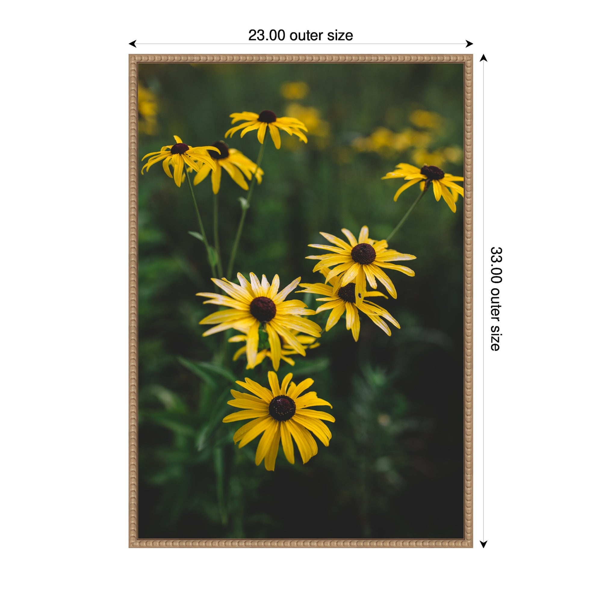 Sylvie Yellow Daisy Floral Blooms Framed Canvas by Patricia Hasz