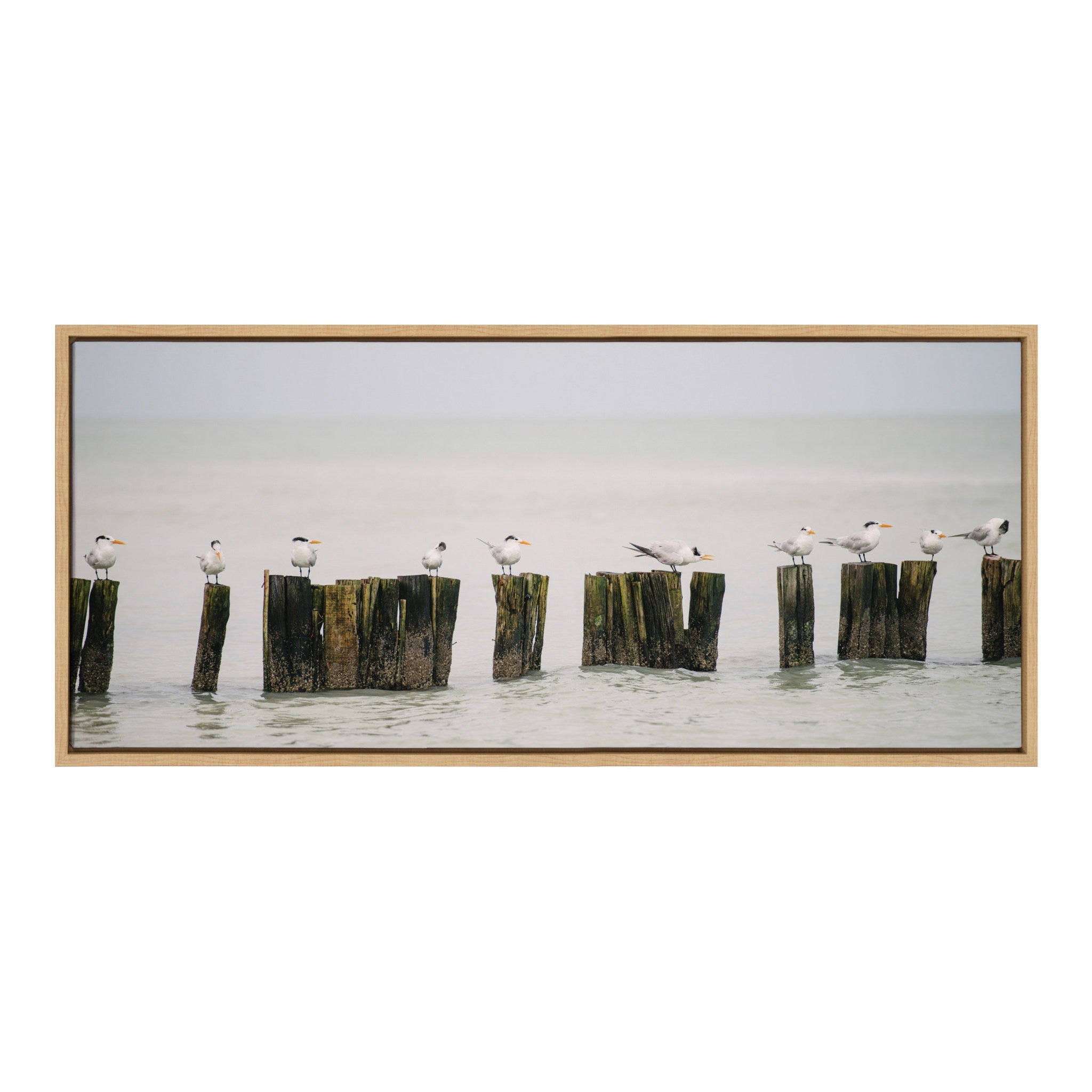 Sylvie Isla Holbox No 13 Framed Canvas by Crystal Lynn Collins
