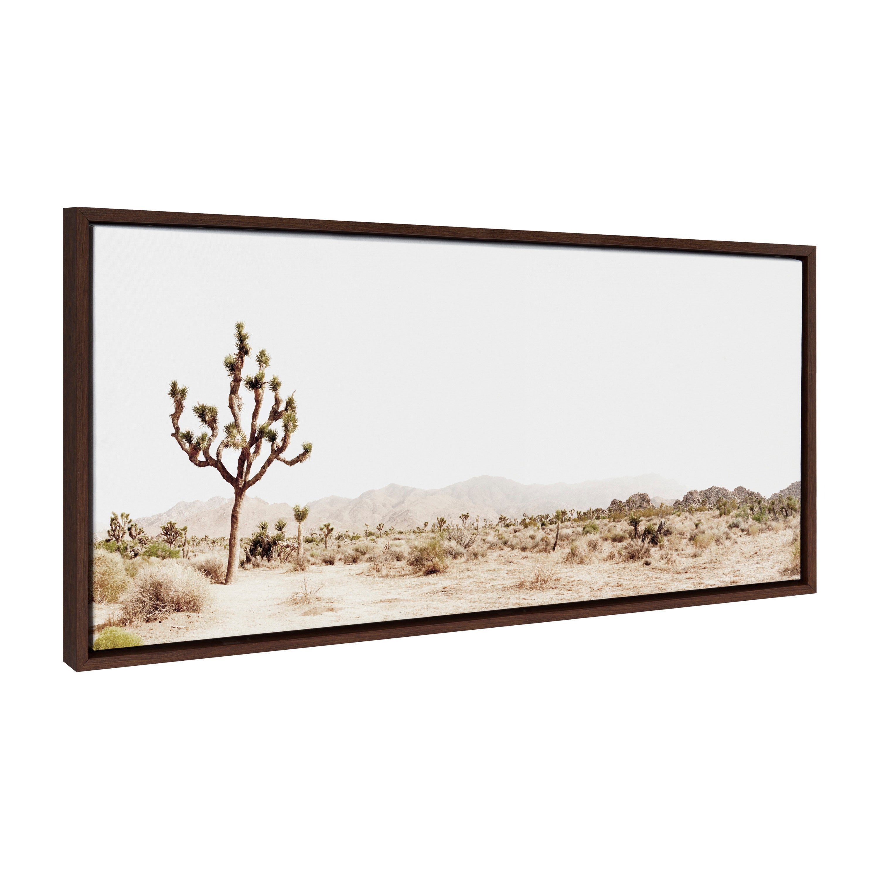 Sylvie Lone Joshua Tree Framed Canvas by Amy Peterson Art Studio by kateandlaurel - product image 19 for Resin Society
