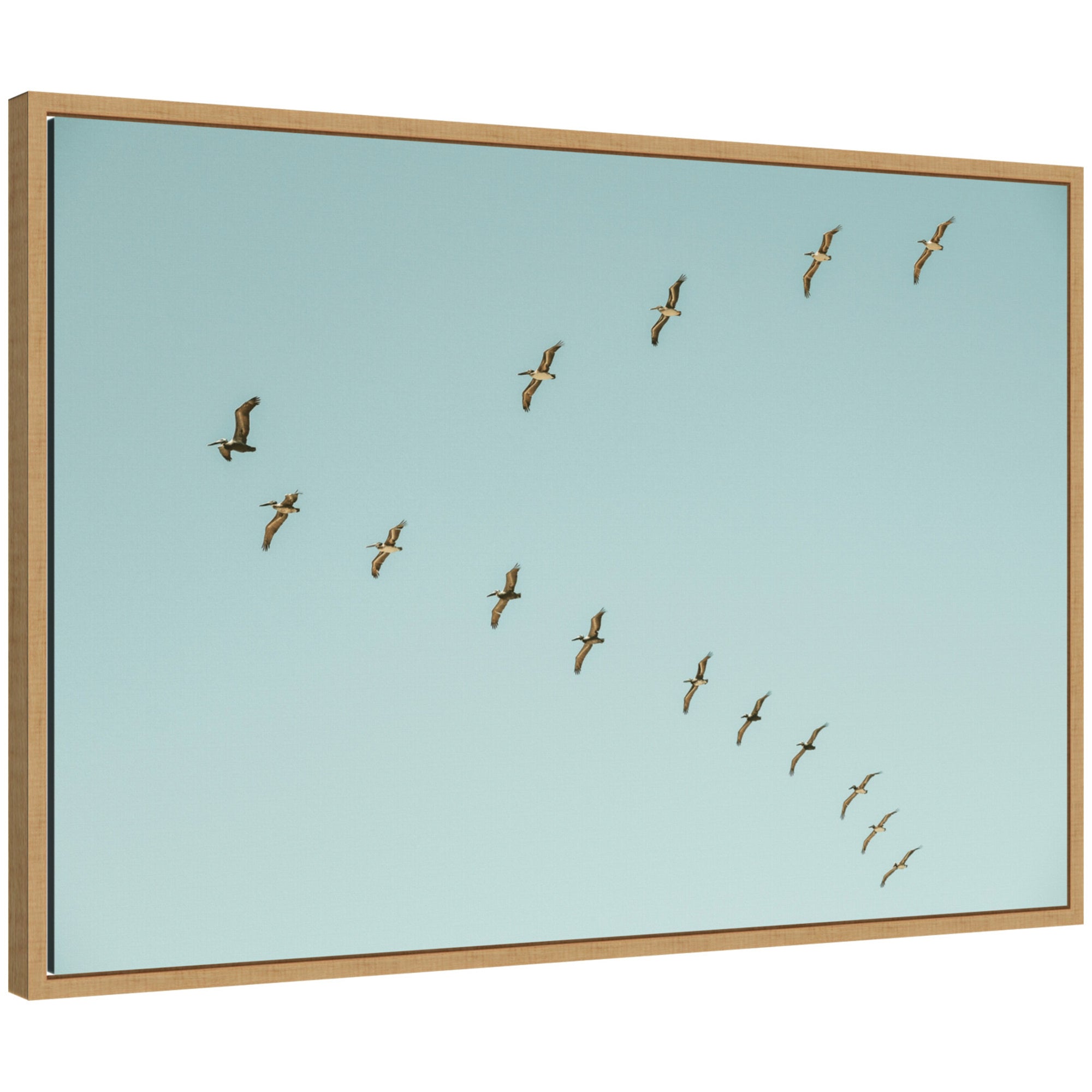 Framed canvas art titled 'Sylvie Pelican Row #1' by Alicia Bock showing pelicans lined on a row over water