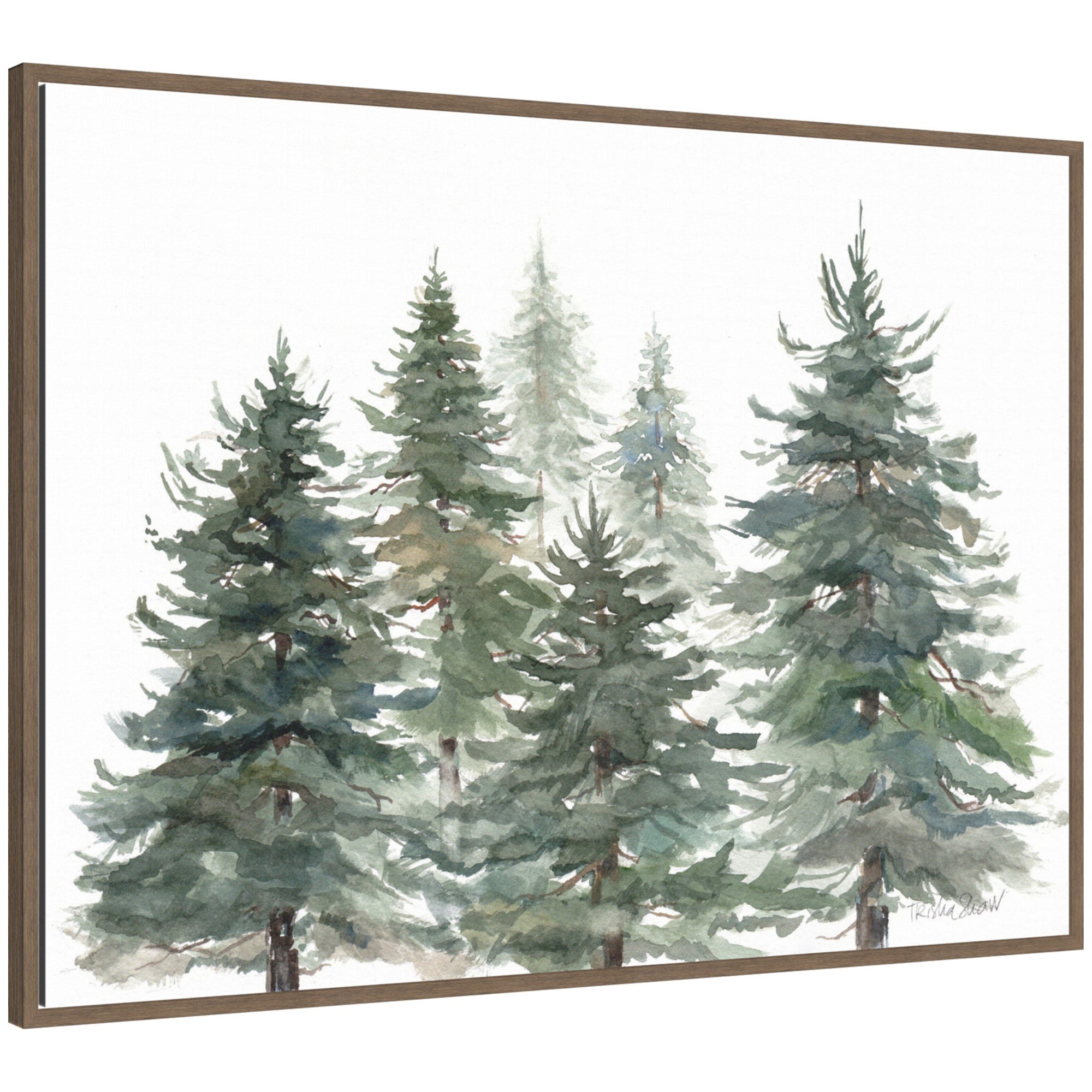 Sylvie Framed Canvas Pines And Evergreens by Patricia Shaw