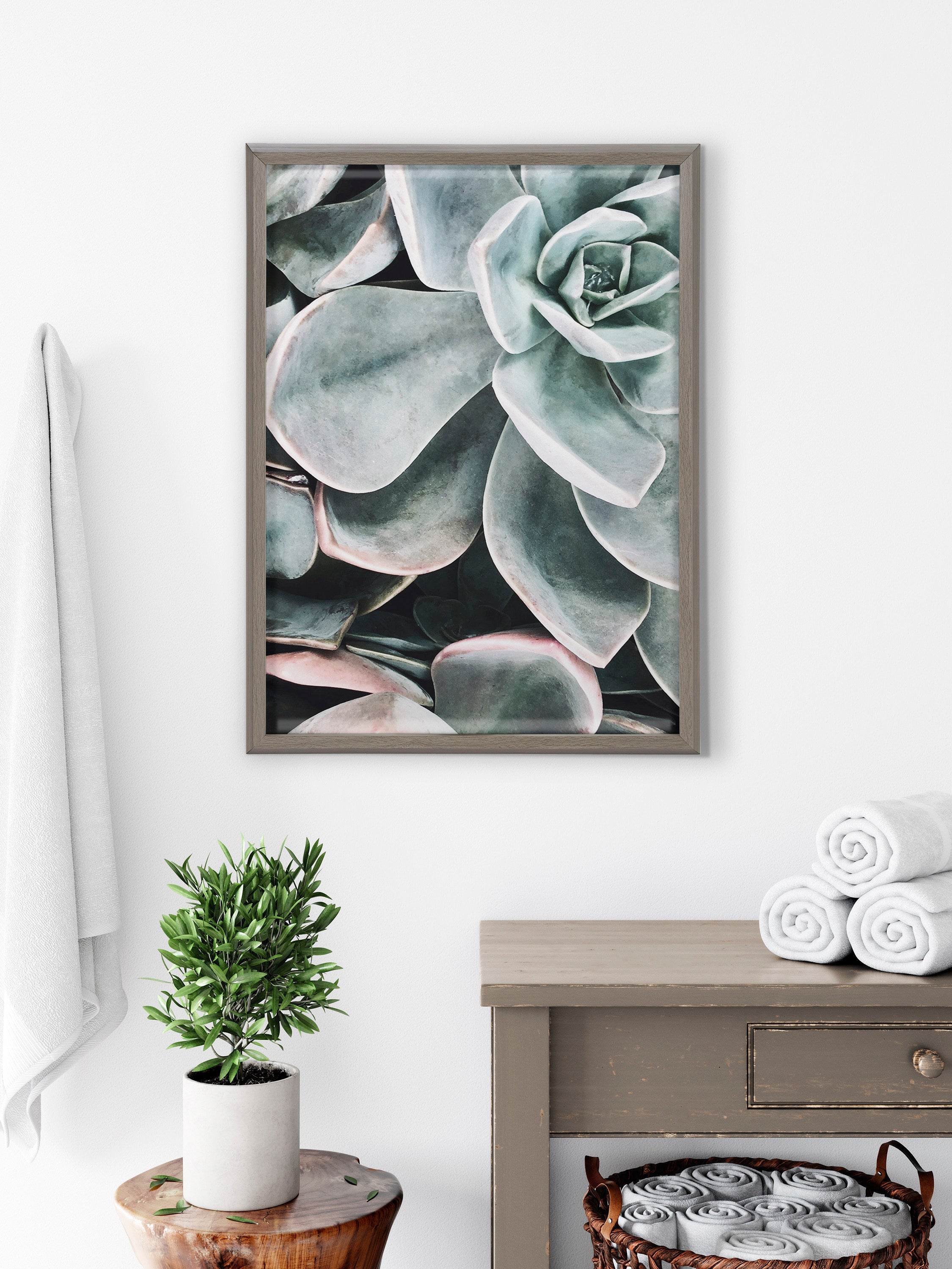 Blake Botanical Succulent Plants 2 Framed Printed Glass by The Creative by kateandlaurel - product image 7 for Resin Society