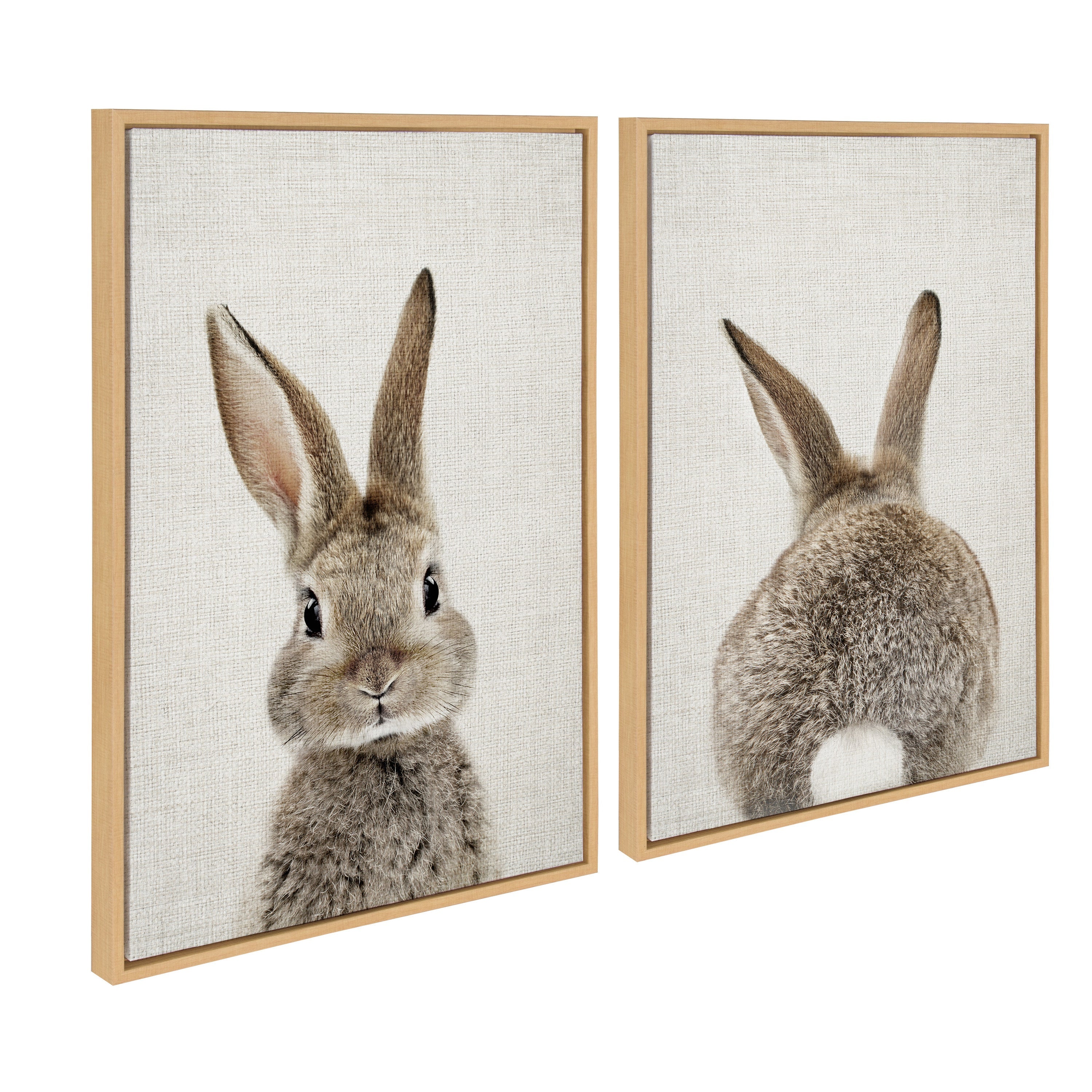 Sylvie Bunny Portrait and Bunny Tail Framed Canvas Art Set by Amy Peterson Art Studio