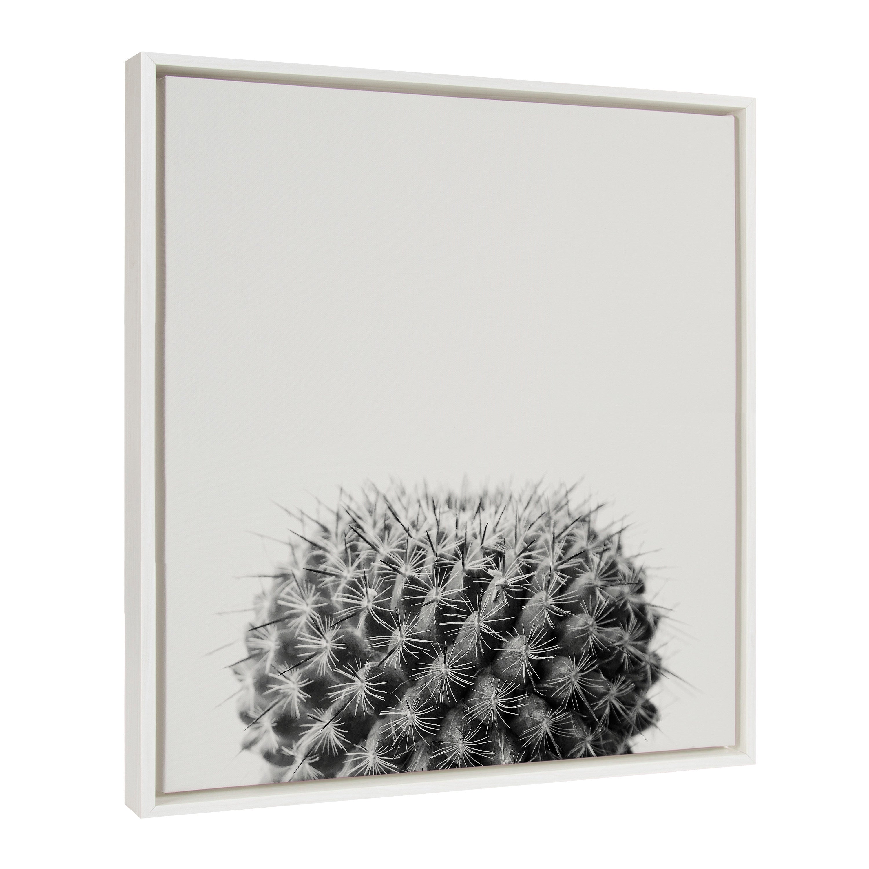 Sylvie Haze Succulent Cactus Short Framed Canvas by kateandlaurel - product image 2 for Resin Society