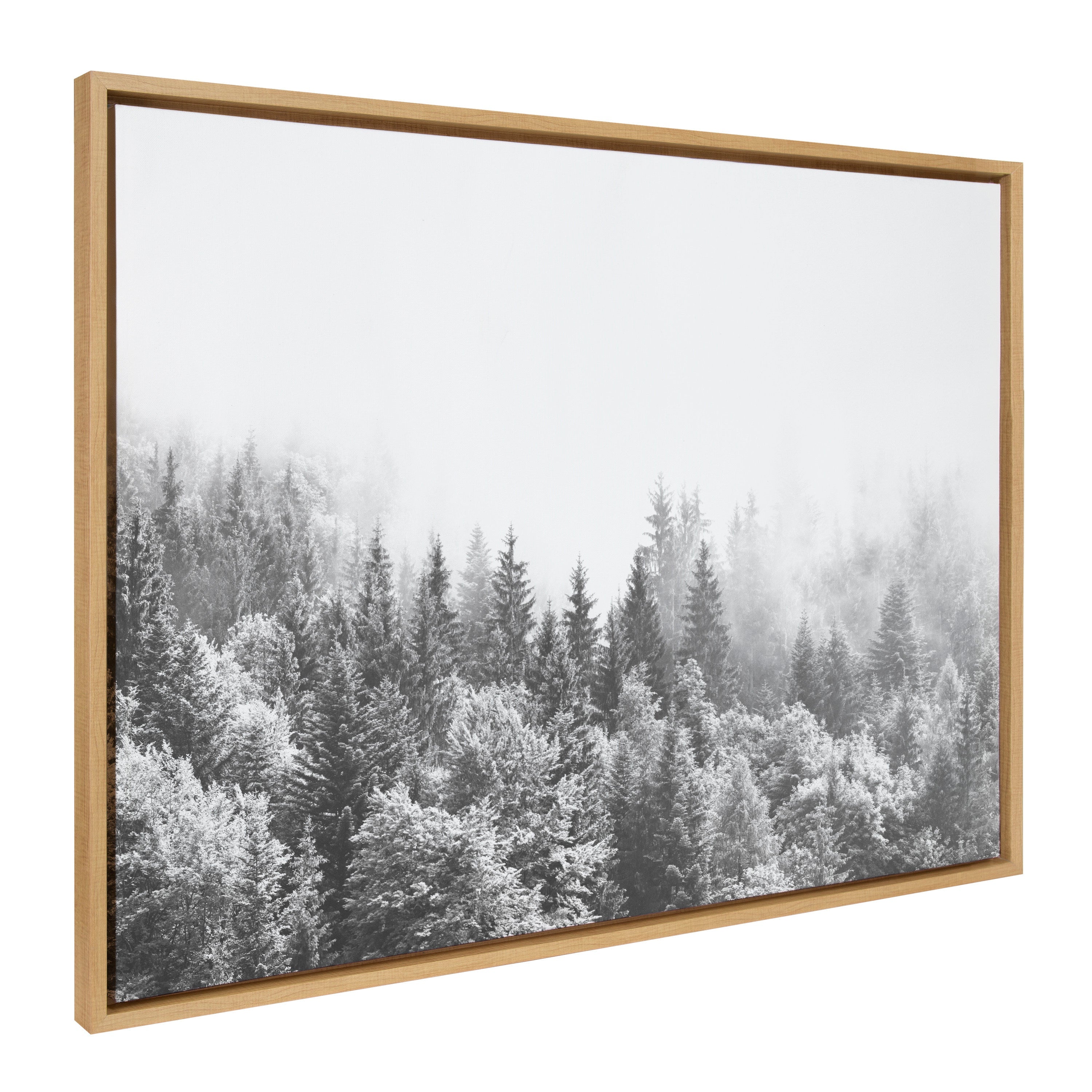 Sylvie Forest On A Foggy Day BW Framed Canvas