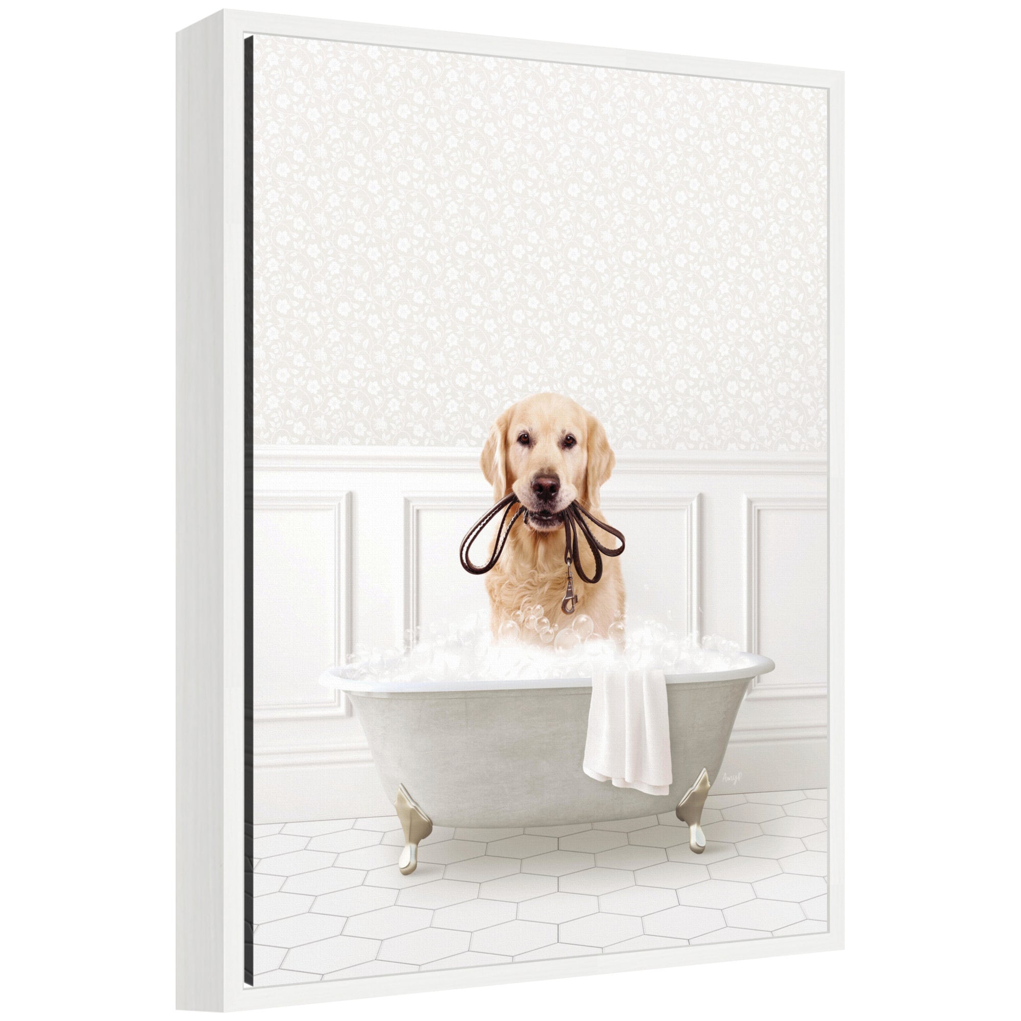 Framed canvas art of a Golden Retriever named Sylvie in a white bath by Amy Peterson
