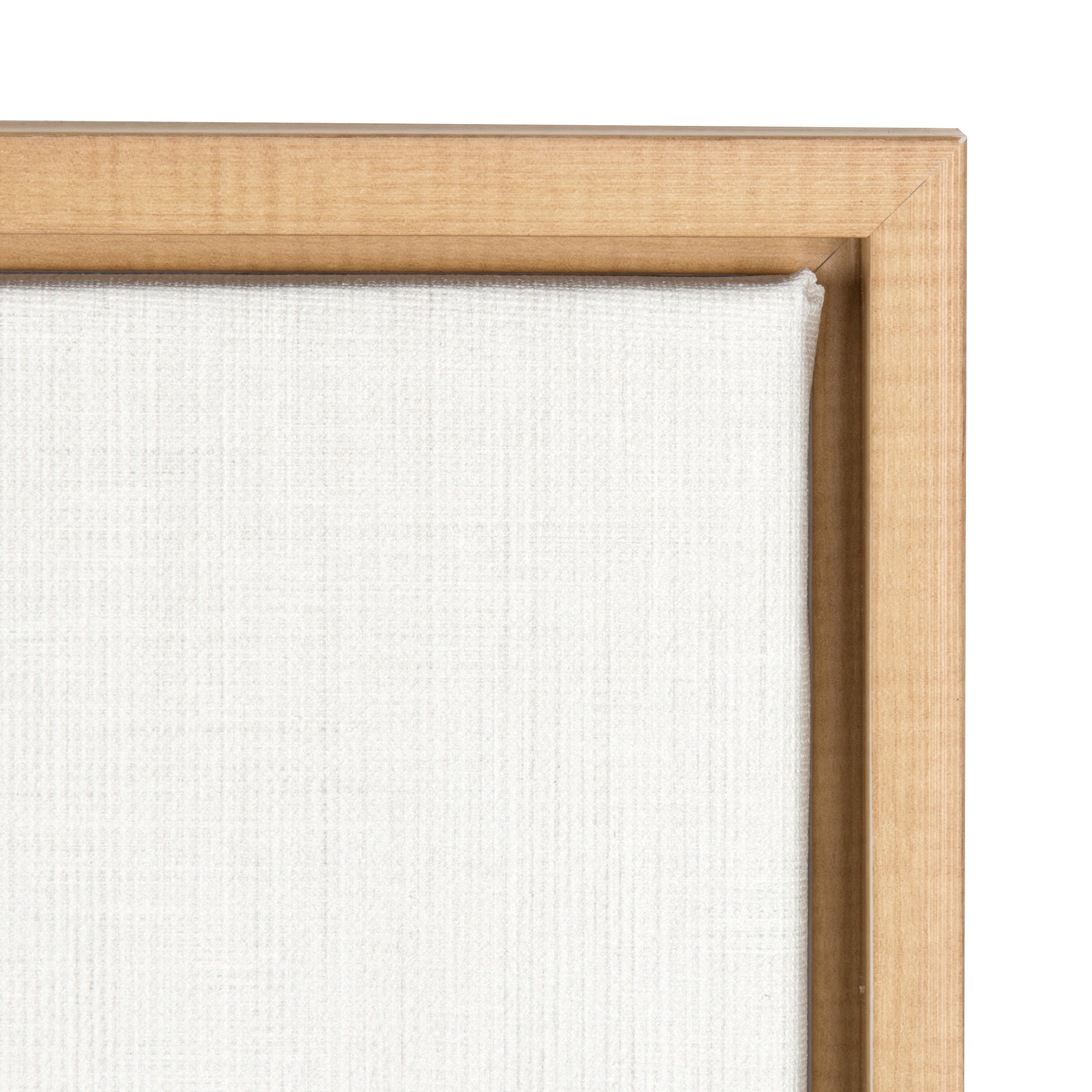 Sylvie Hairy Alpaca Framed Canvas by Simon Te of Tai Prints