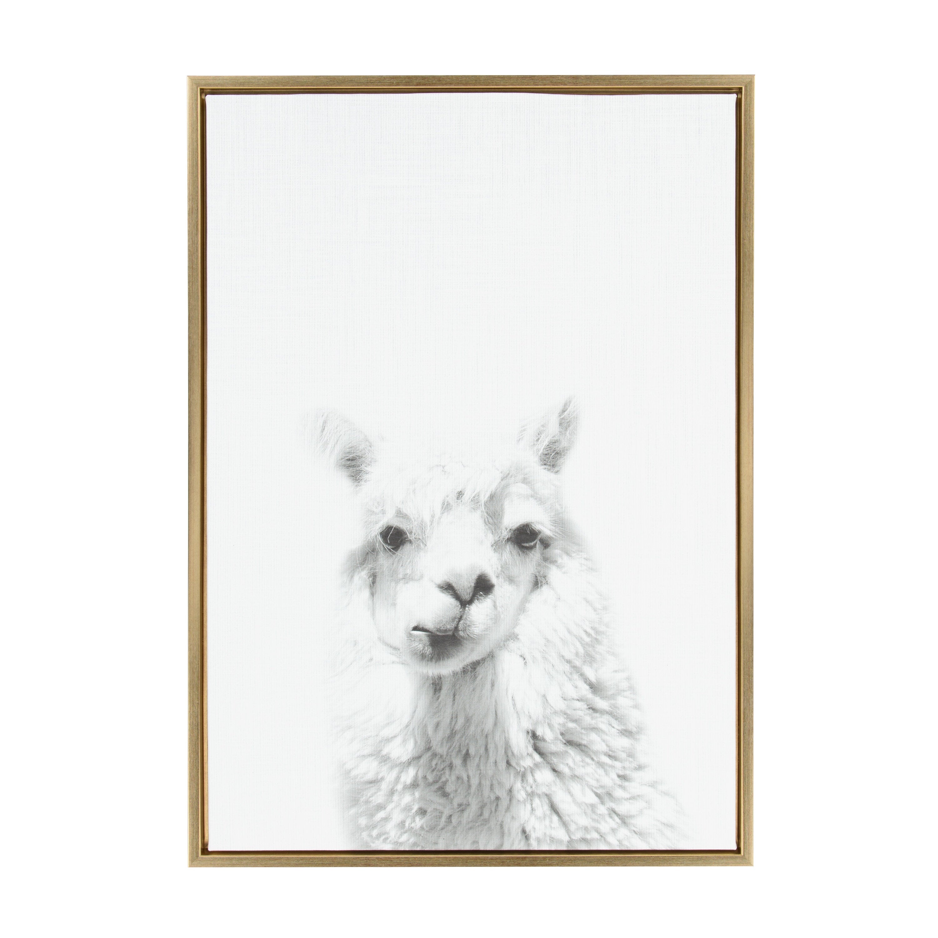 Sylvie Alpaca Framed Canvas by Simon Te of Tai Prints
