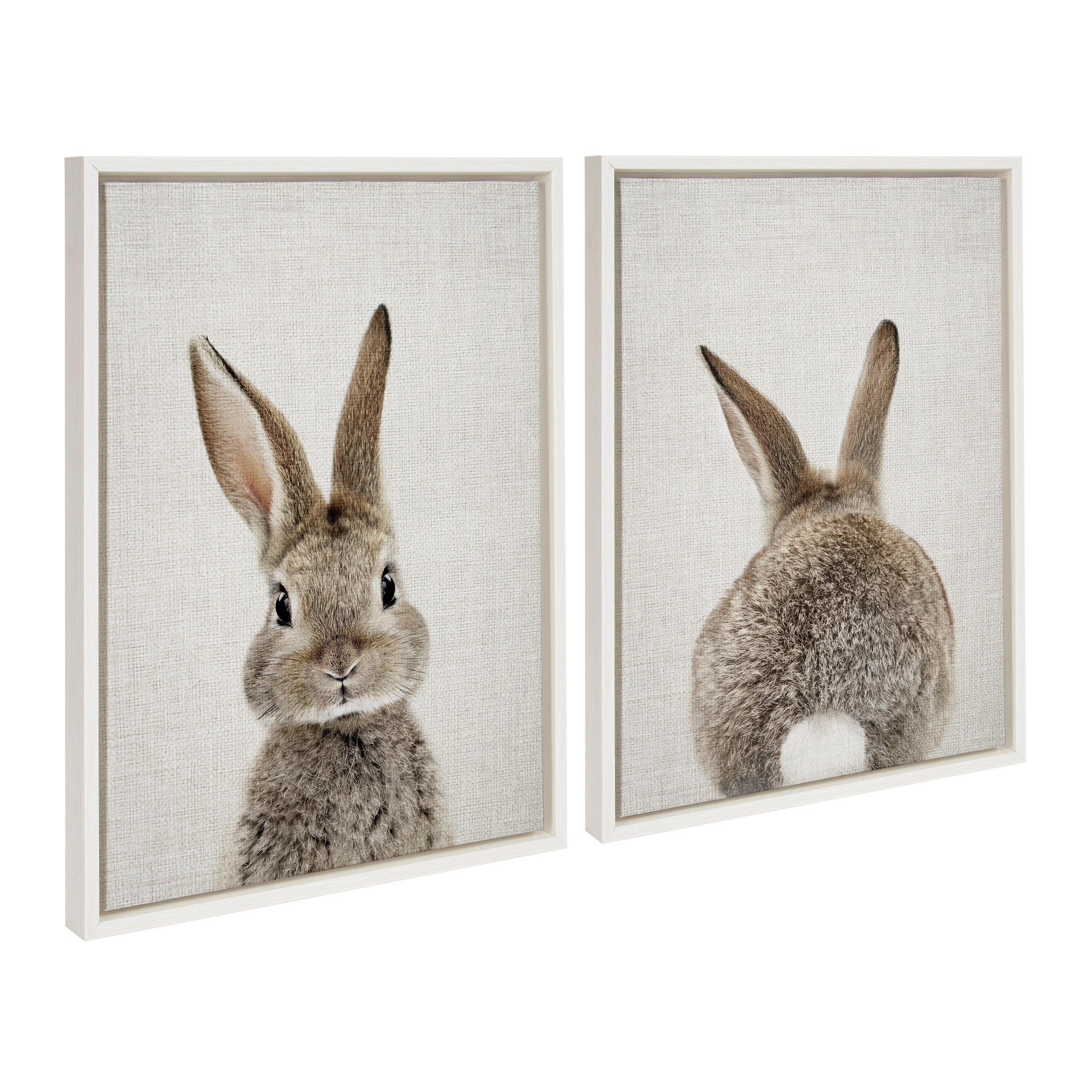 Sylvie Bunny Portrait and Bunny Tail Framed Canvas Art Set by Amy Peterson Art Studio