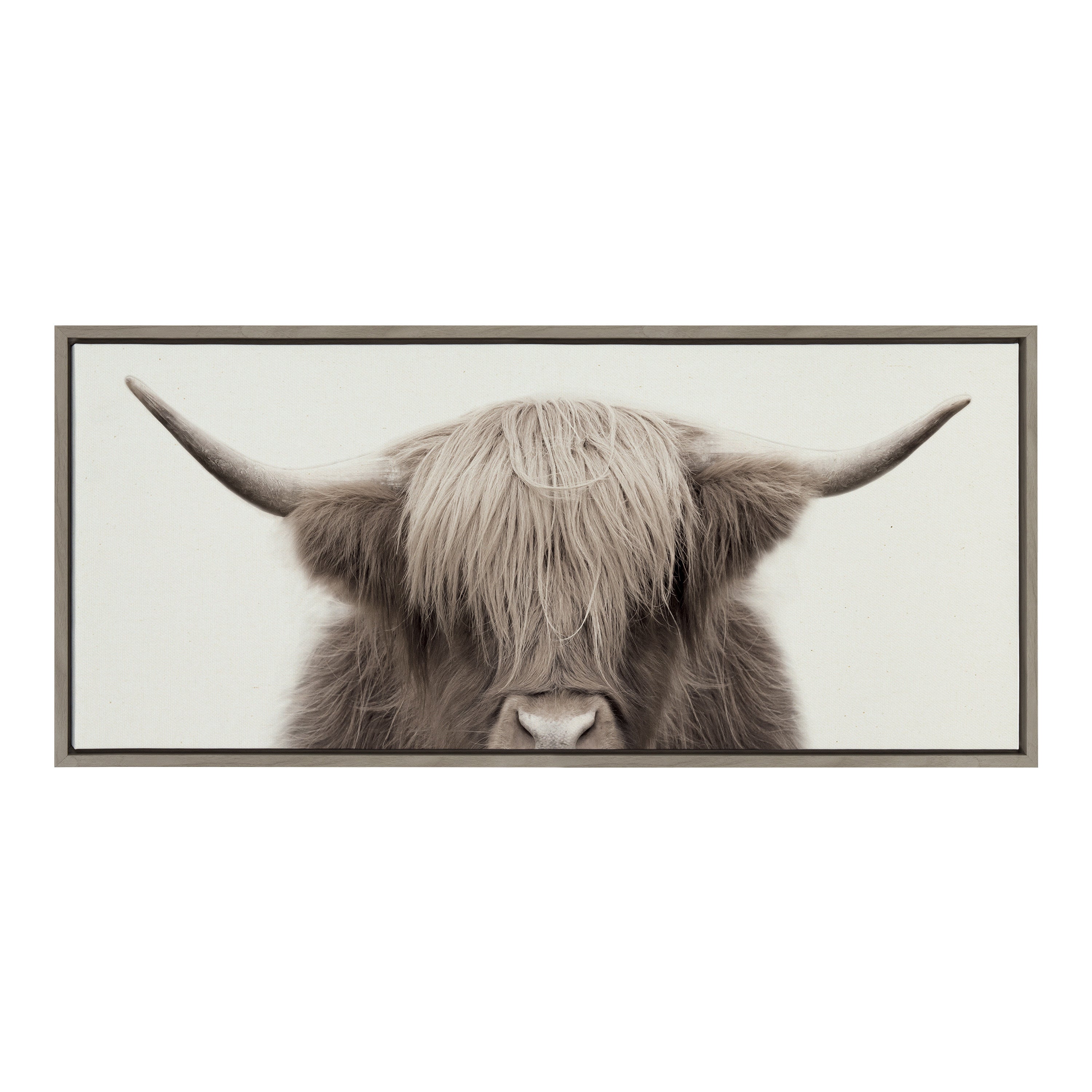 Sylvie Hey Dude Highland Cow Color Framed Canvas by The Creative Bunch by kateandlaurel - product image 17 for Resin Society