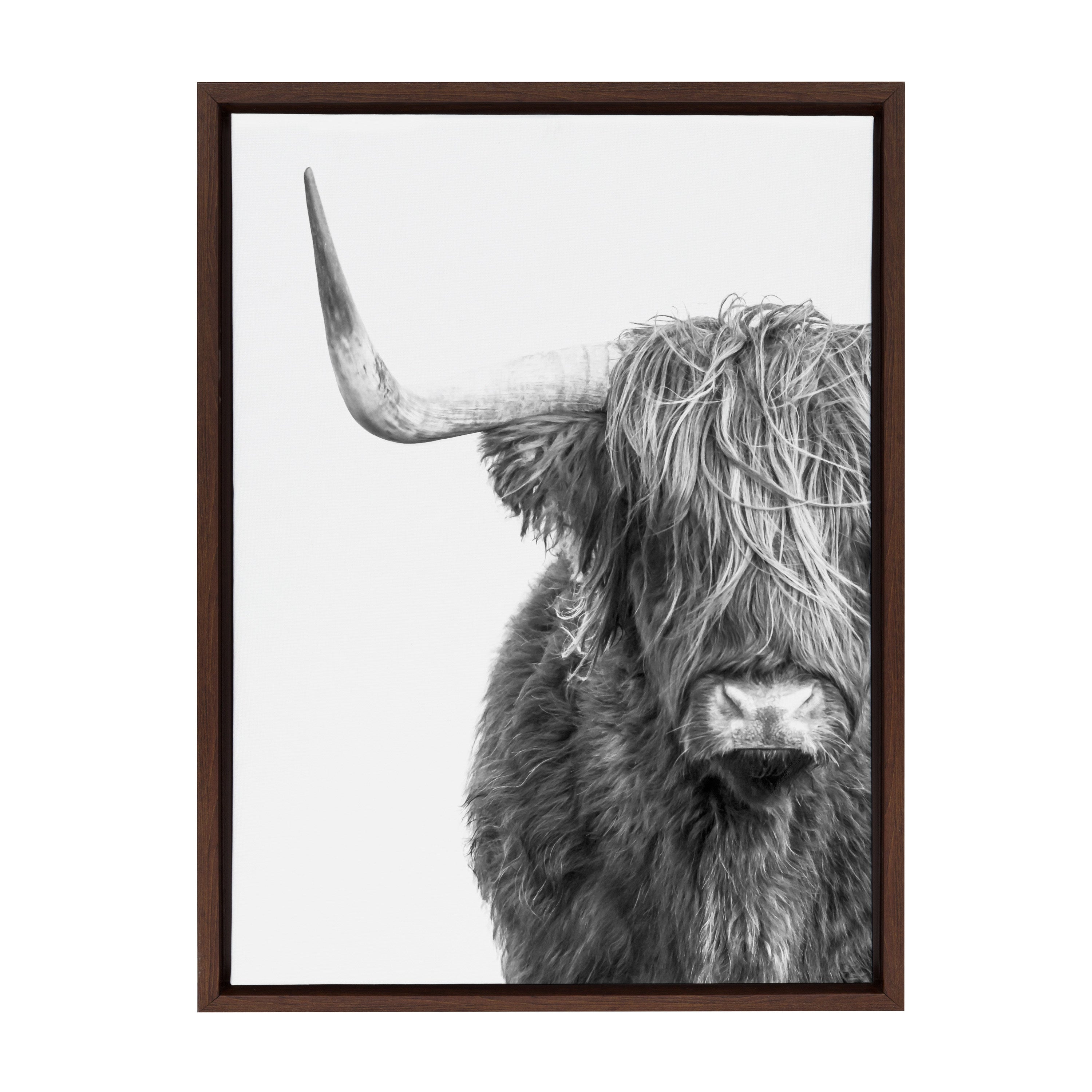 Sylvie B&W Highland Cow No. 1 Framed Canvas by Amy Peterson Art Studio