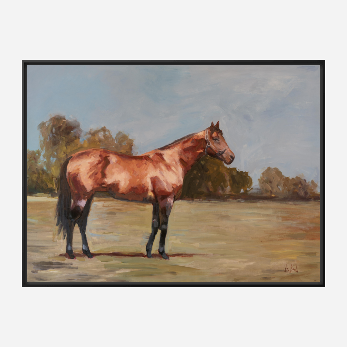 Champion Artist Enhanced Canvas Print by John Beard Collection - product image 5 for Resin Society