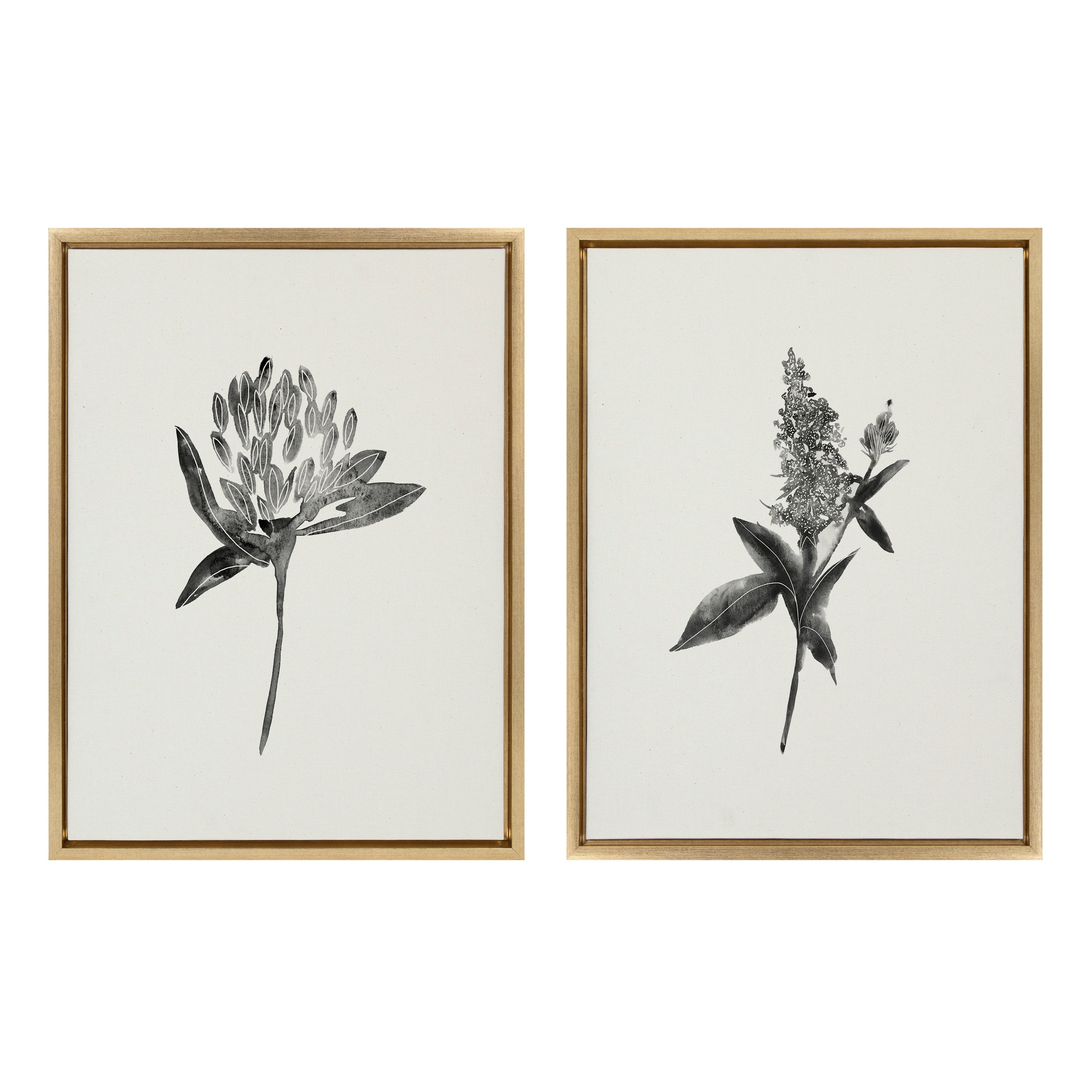 Sylvie Vintage Botanical 1 and 2 Framed Canvas by kateandlaurel - product image 7 for Resin Society