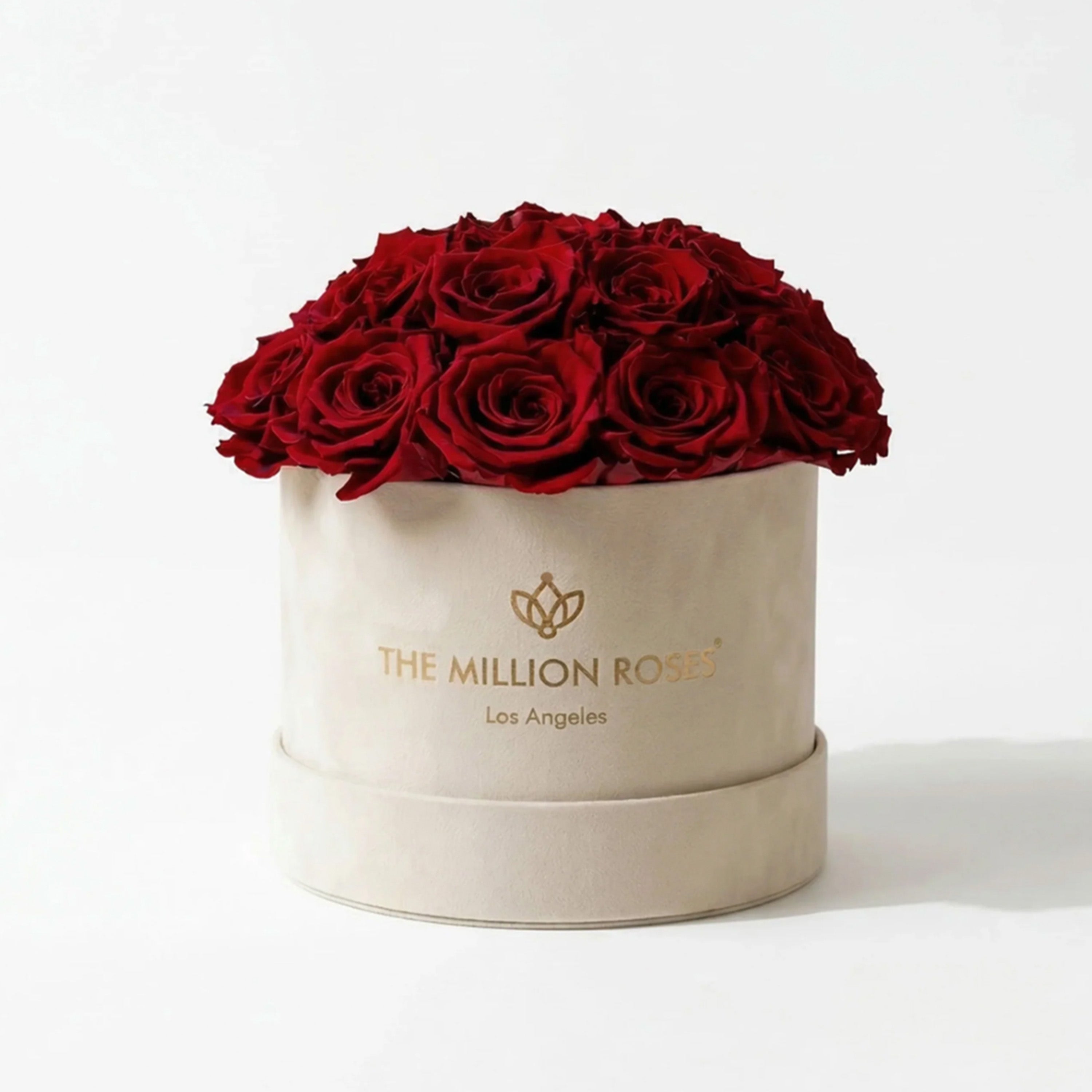 Beige suede dome box filled with 20-22 preserved red roses arranged in a soft-rise dome shape.