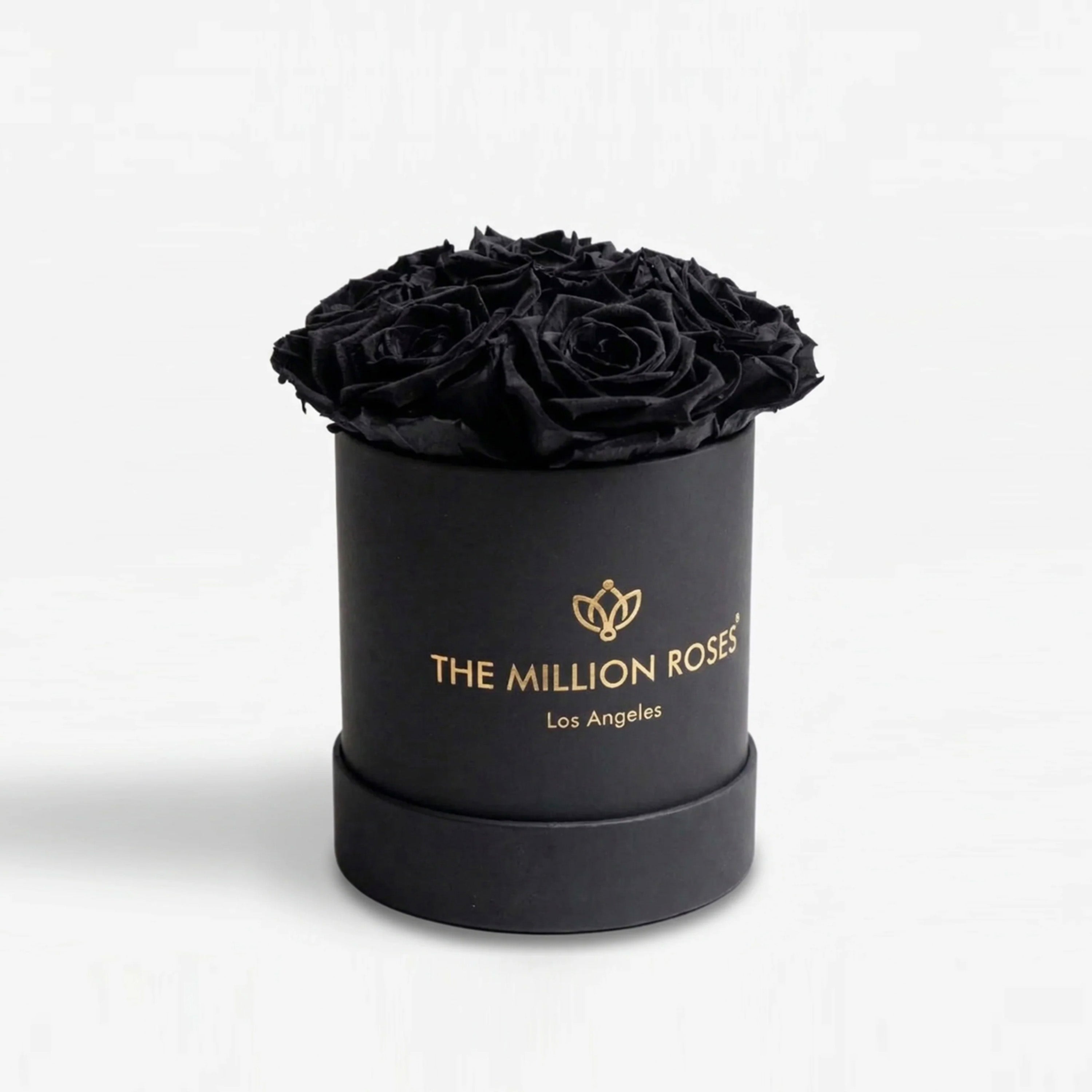 Essence Black Box containing seven black roses arranged in a square black box