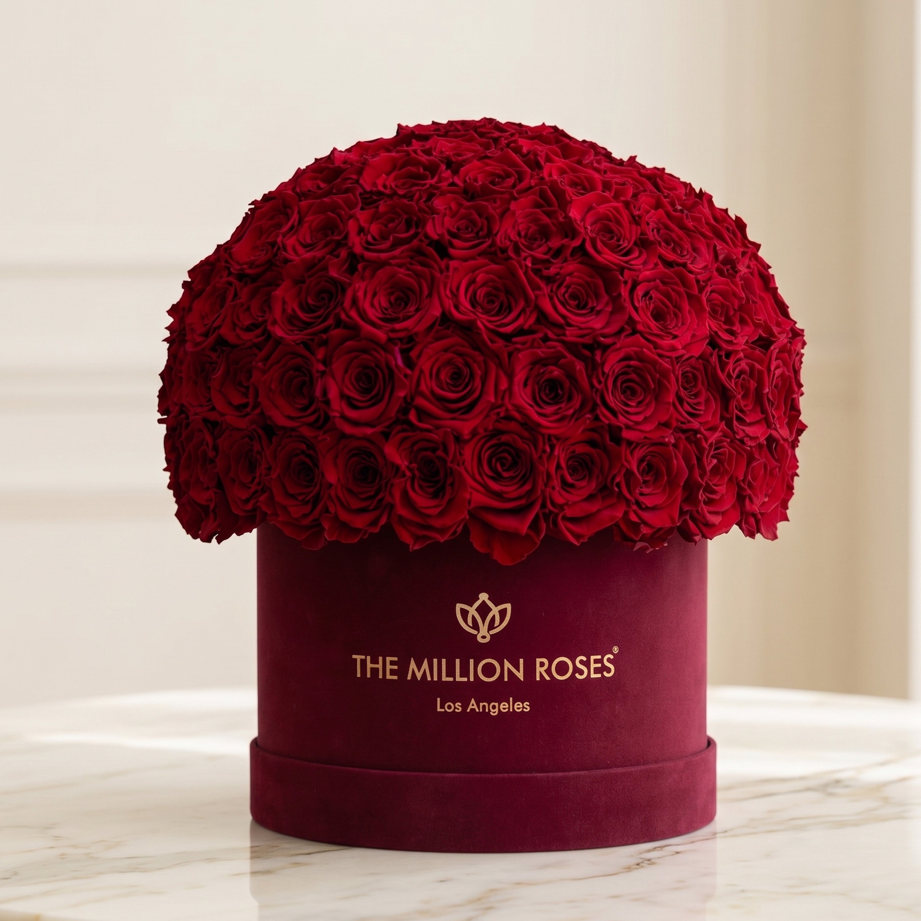 Classic Bordeaux Suede Superdome Box by The Million Roses - product image 2 for Resin Society
