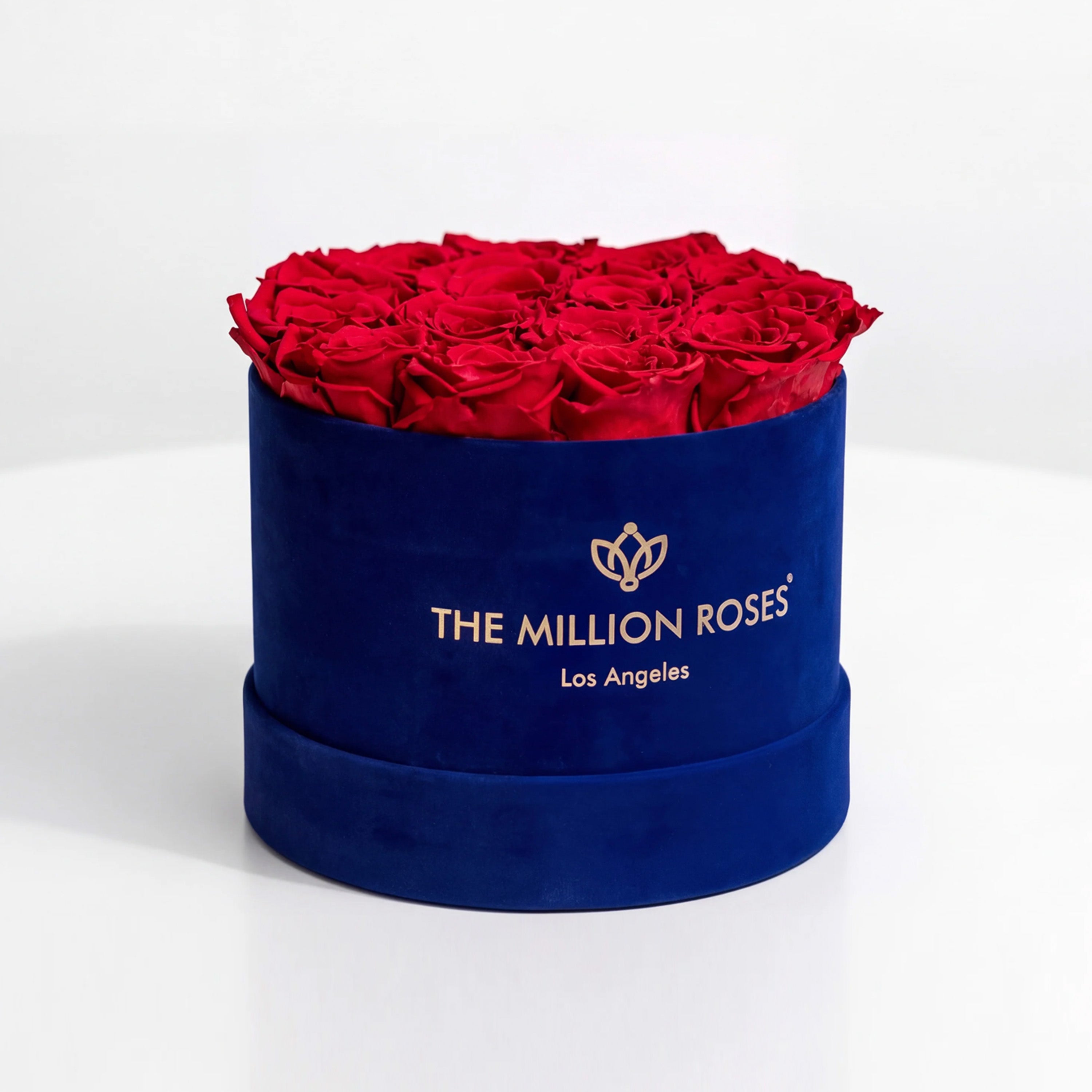 Classic Royal Blue Suede Box containing 14-15 naturally preserved red roses