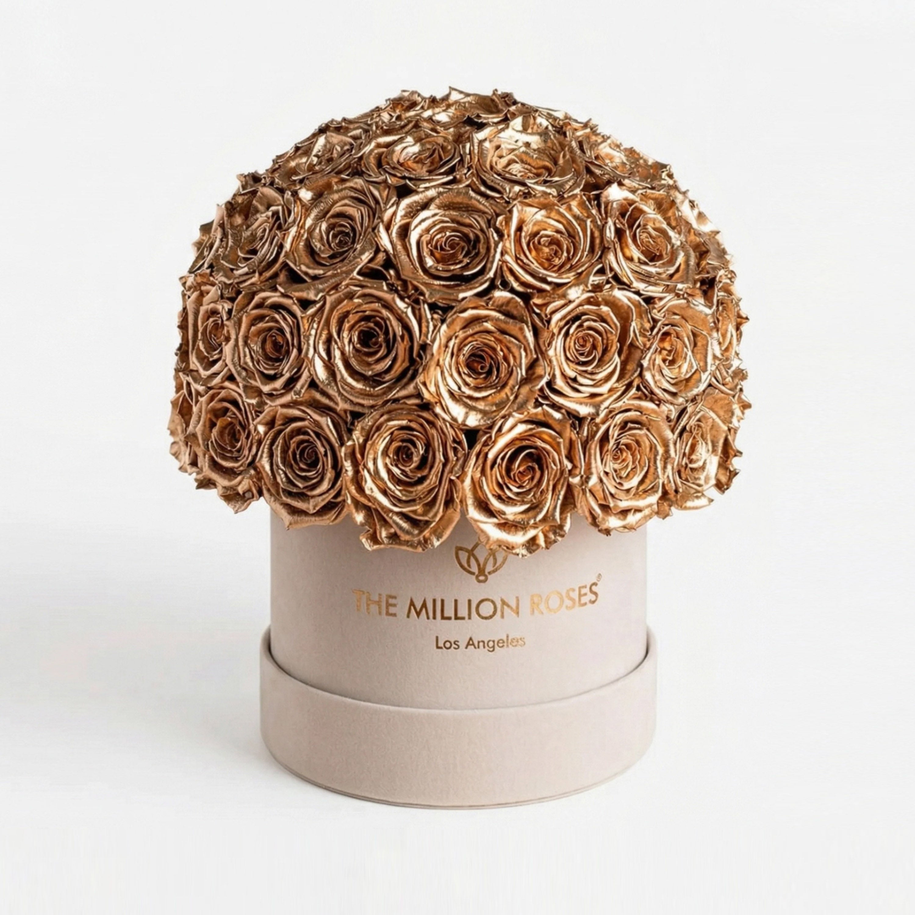 Classic Beige Suede Superdome Box by The Million Roses - main product image for Resin Society