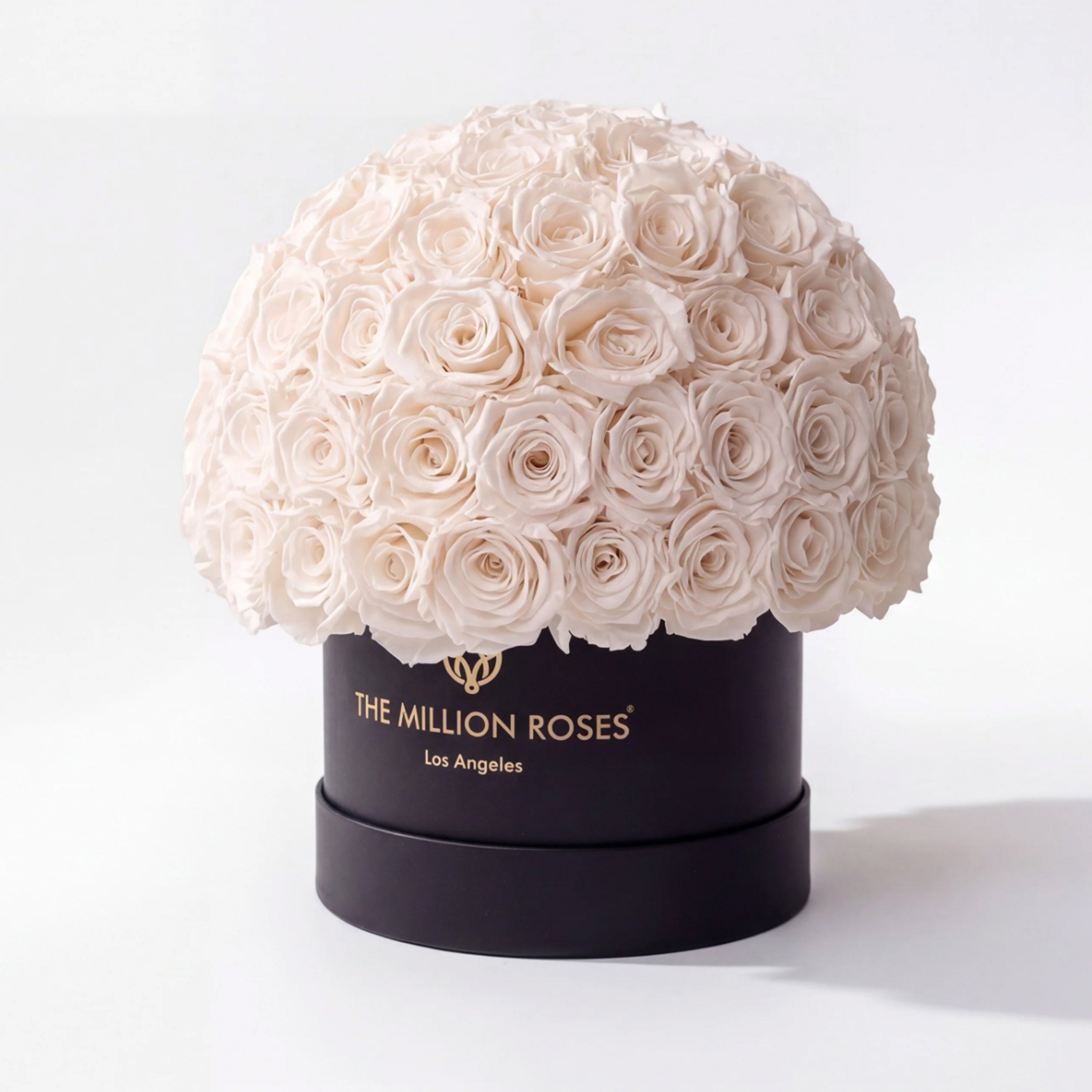 Classic Black Superdome Box by The Million Roses - main product image for Resin Society
