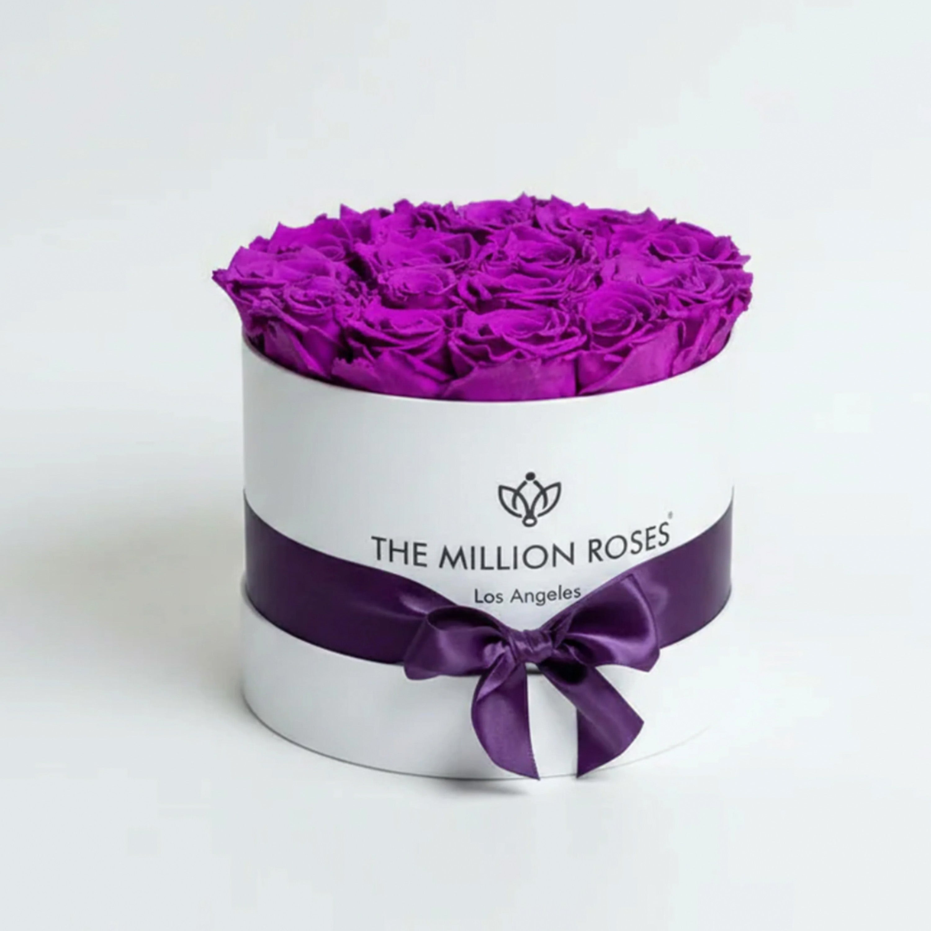 Classic White Box with Bright Purple Roses showing a square white box filled with vibrant purple roses