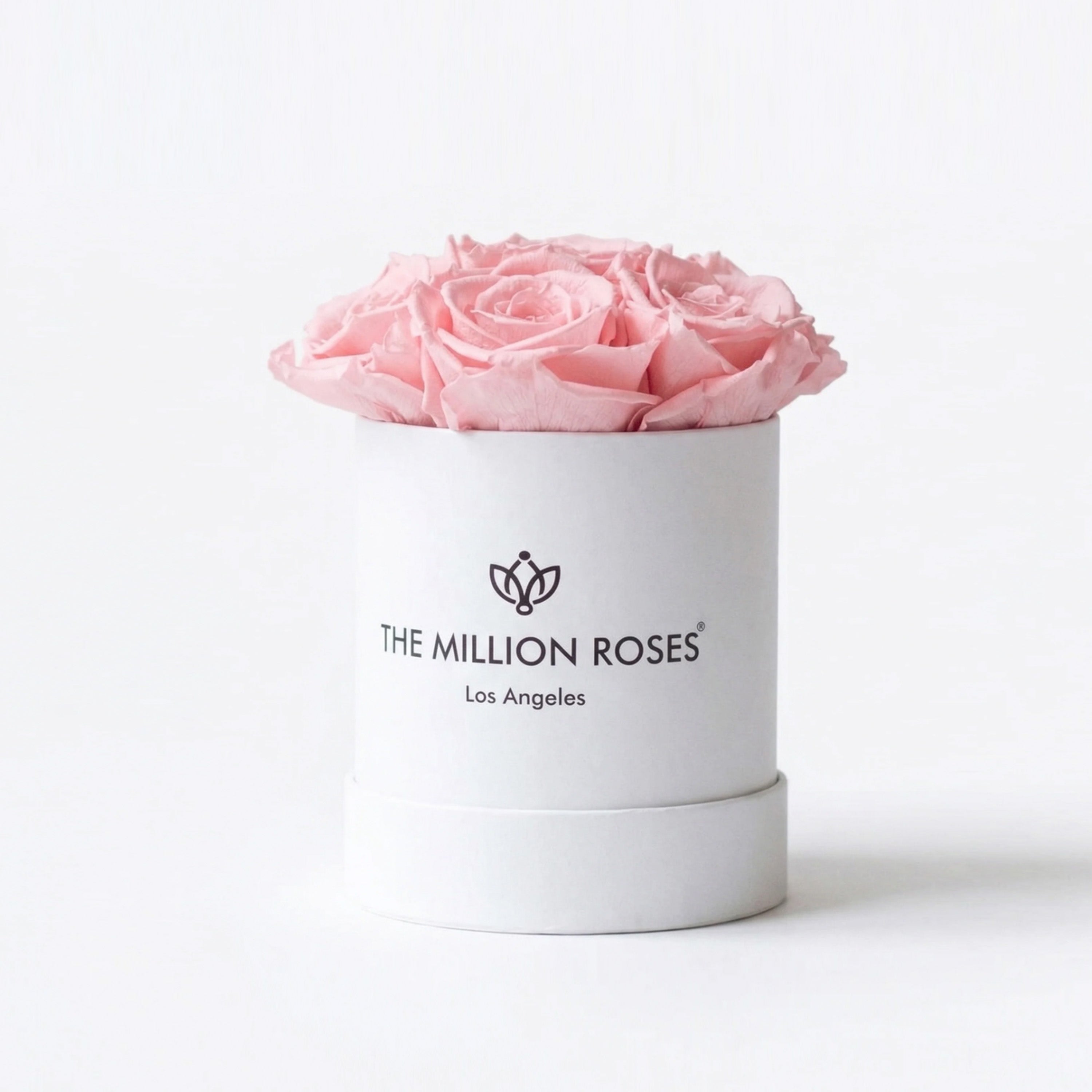 White box with seven preserved light pink roses arranged closely inside