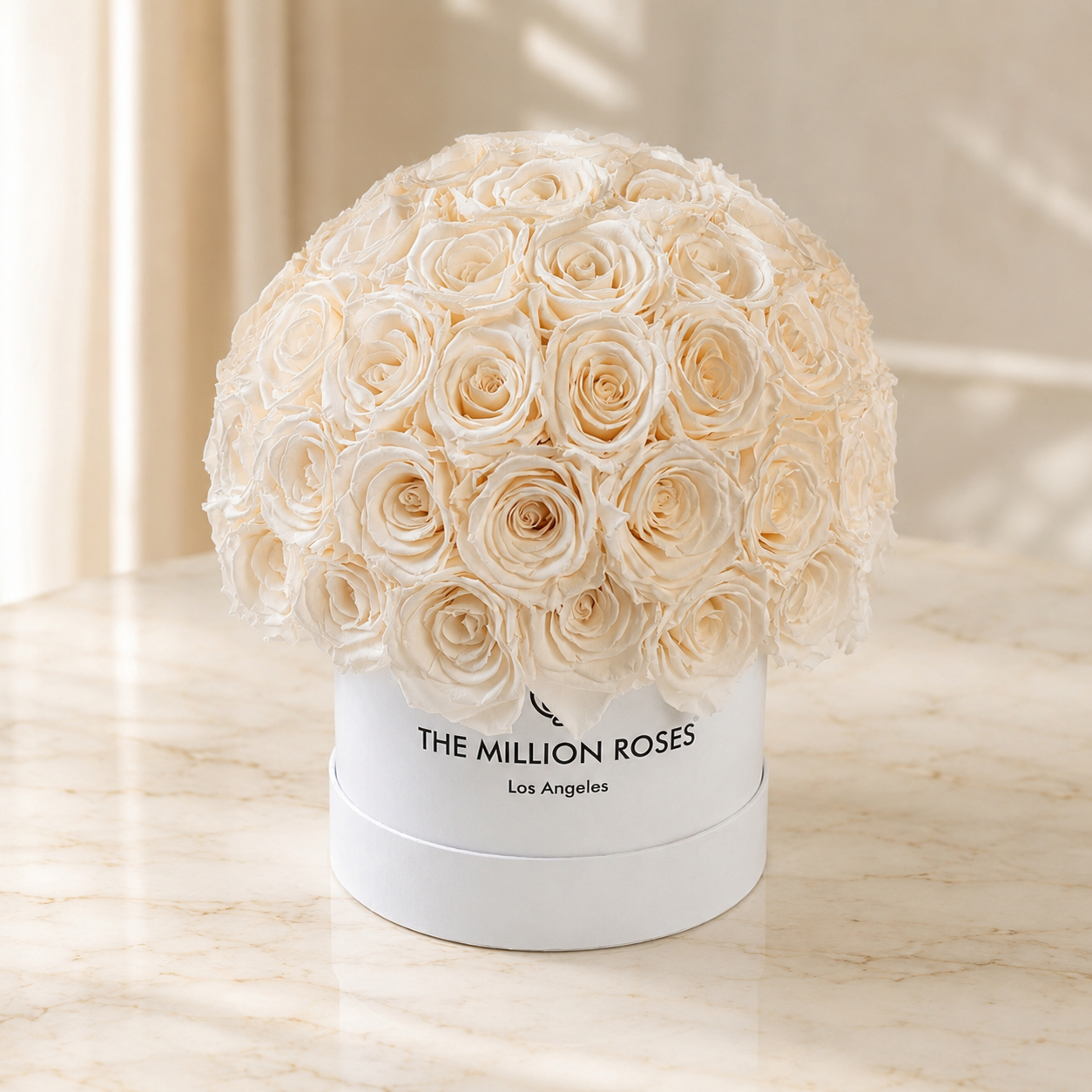 Classic White Superdome Box by The Million Roses - product image 2 for Resin Society