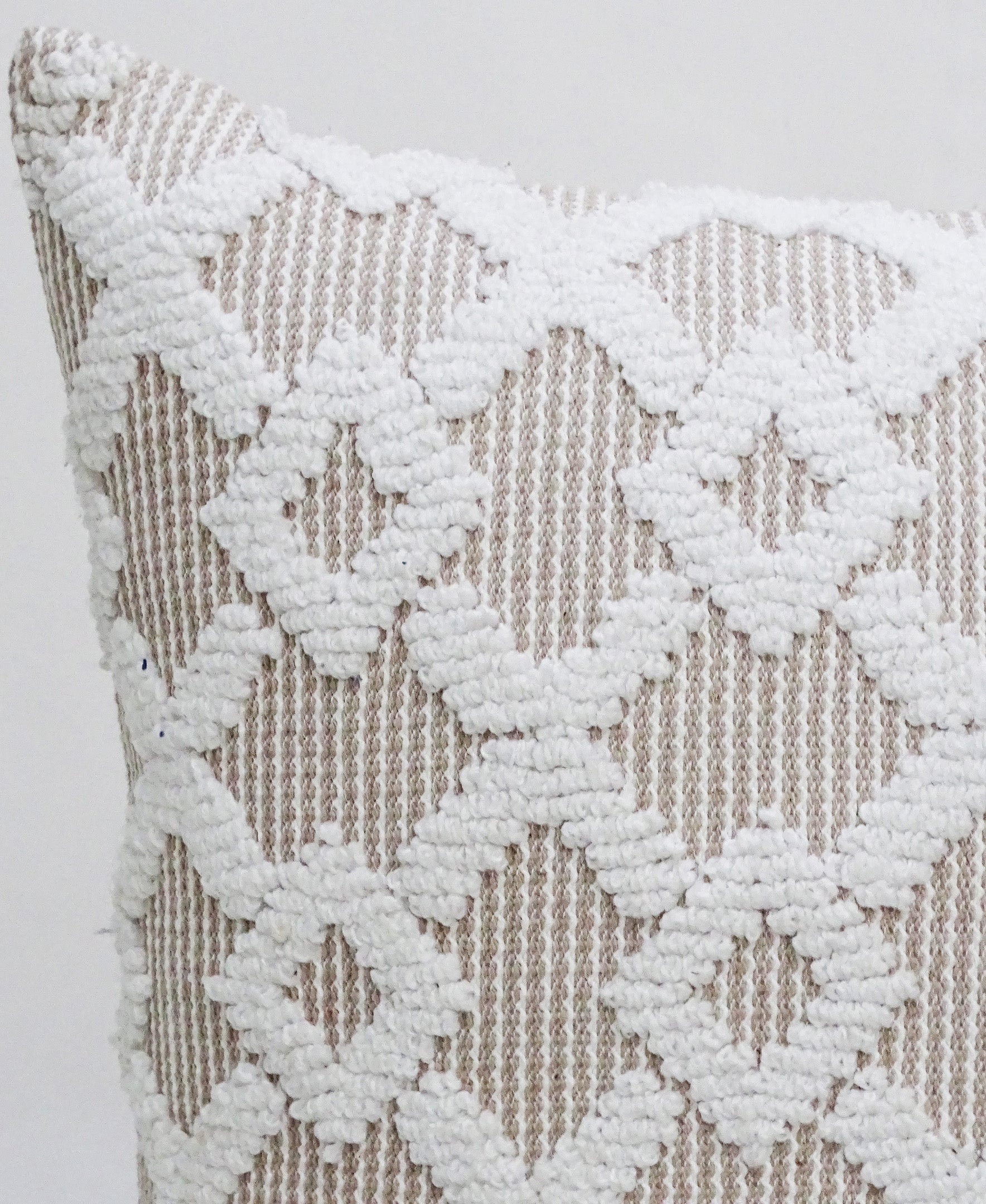 Decorative Beige Accent Throw Pillow 20"x20" by Vibhsa