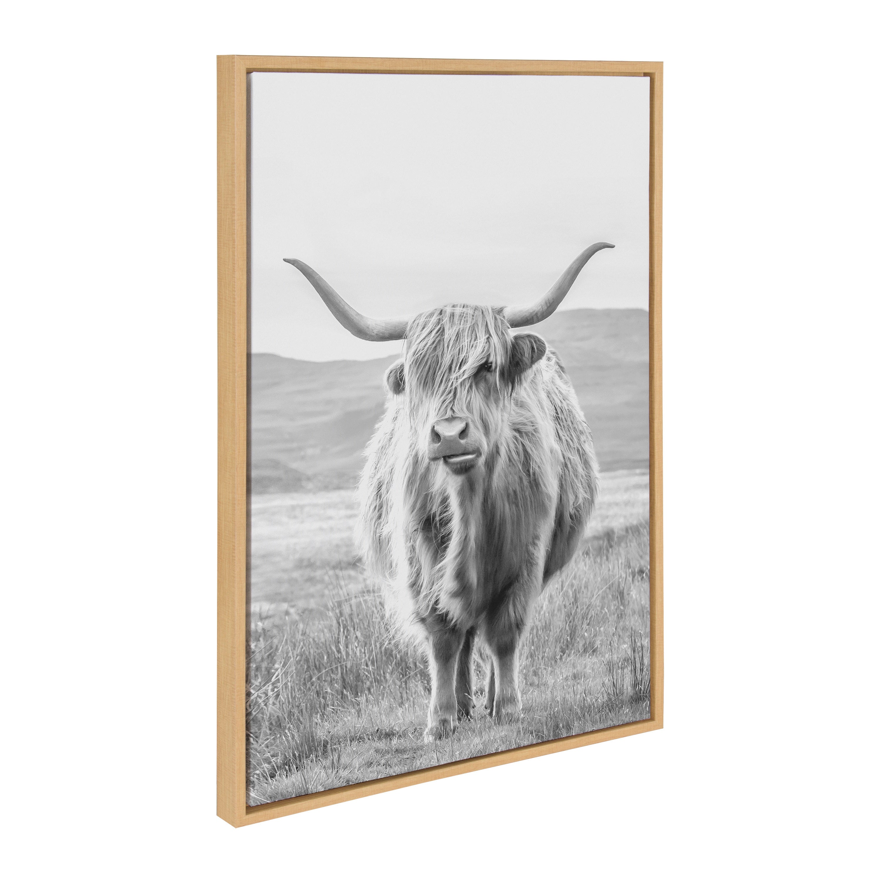 Sylvie Herd of Highland Cows BW Framed Canvas Art Set by The Creative Bunch Studio