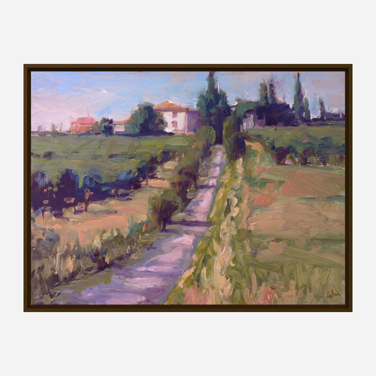 Country Vineyard Artist Enhanced Canvas Print