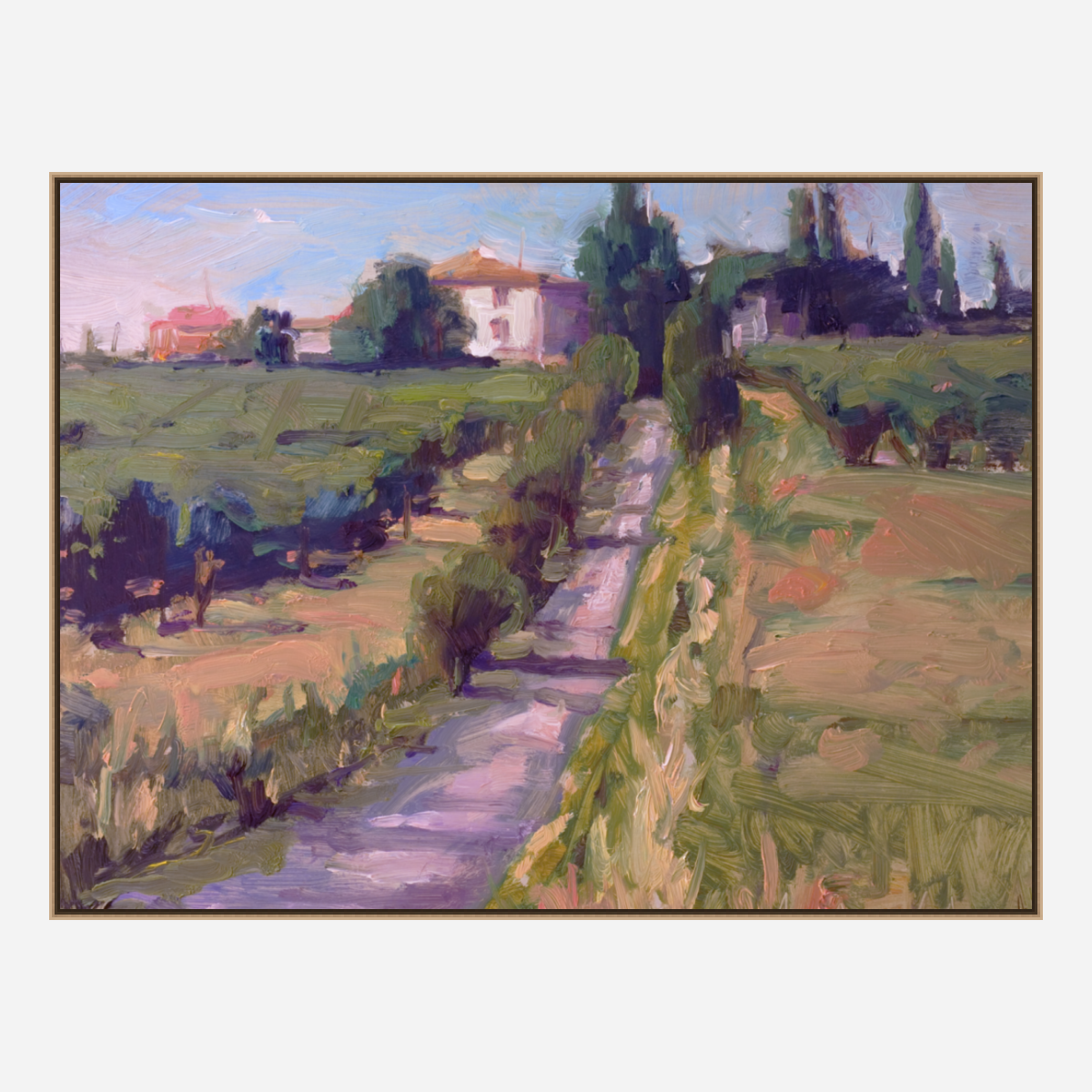 Country Vineyard Artist Enhanced Canvas Print