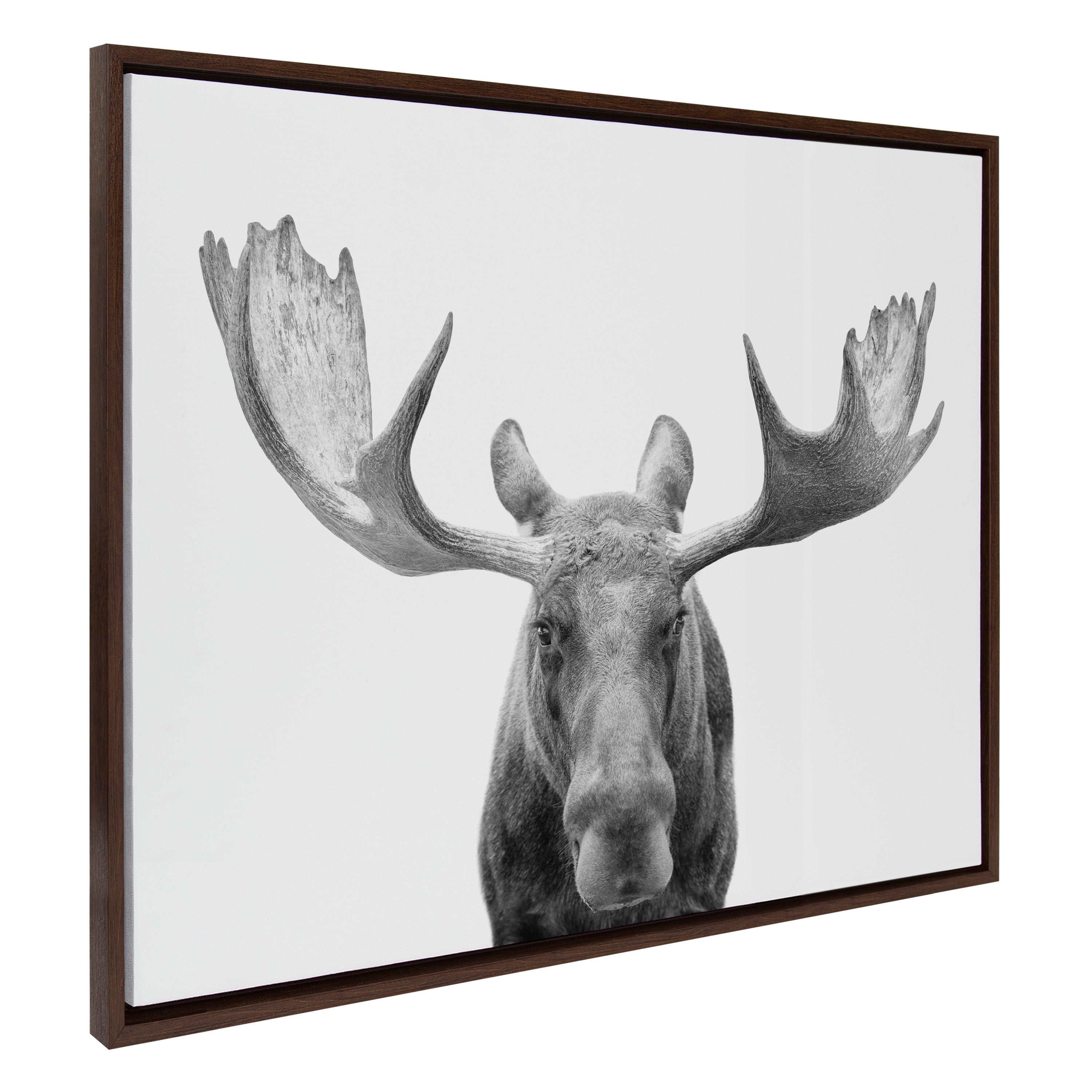 Sylvie Moose Black and White Framed Canvas by Amy Peterson Art Studio