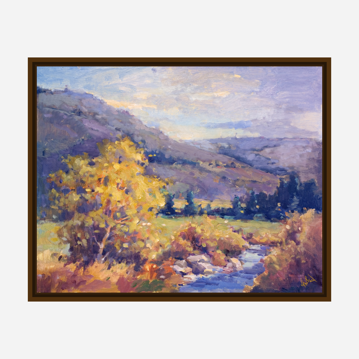 Creek in the Valley Artist Enhanced Canvas Print by John Beard Collection - product image 7 for Resin Society