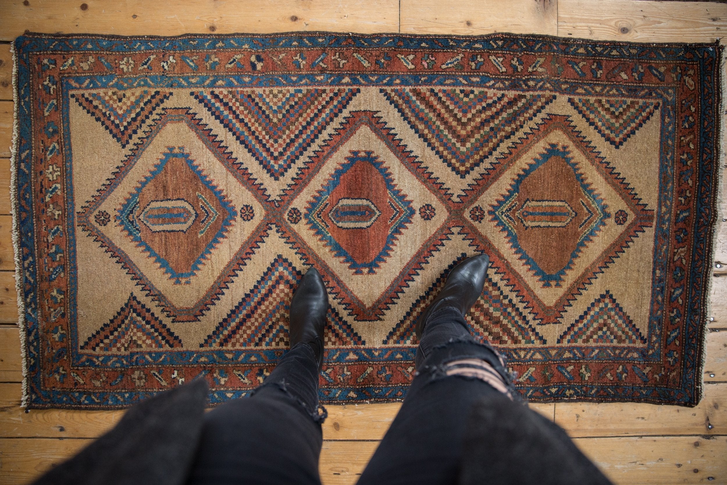 3x6 Antique Camel Hair Serab Rug Runner by Old New House® - product image 2 for Resin Society
